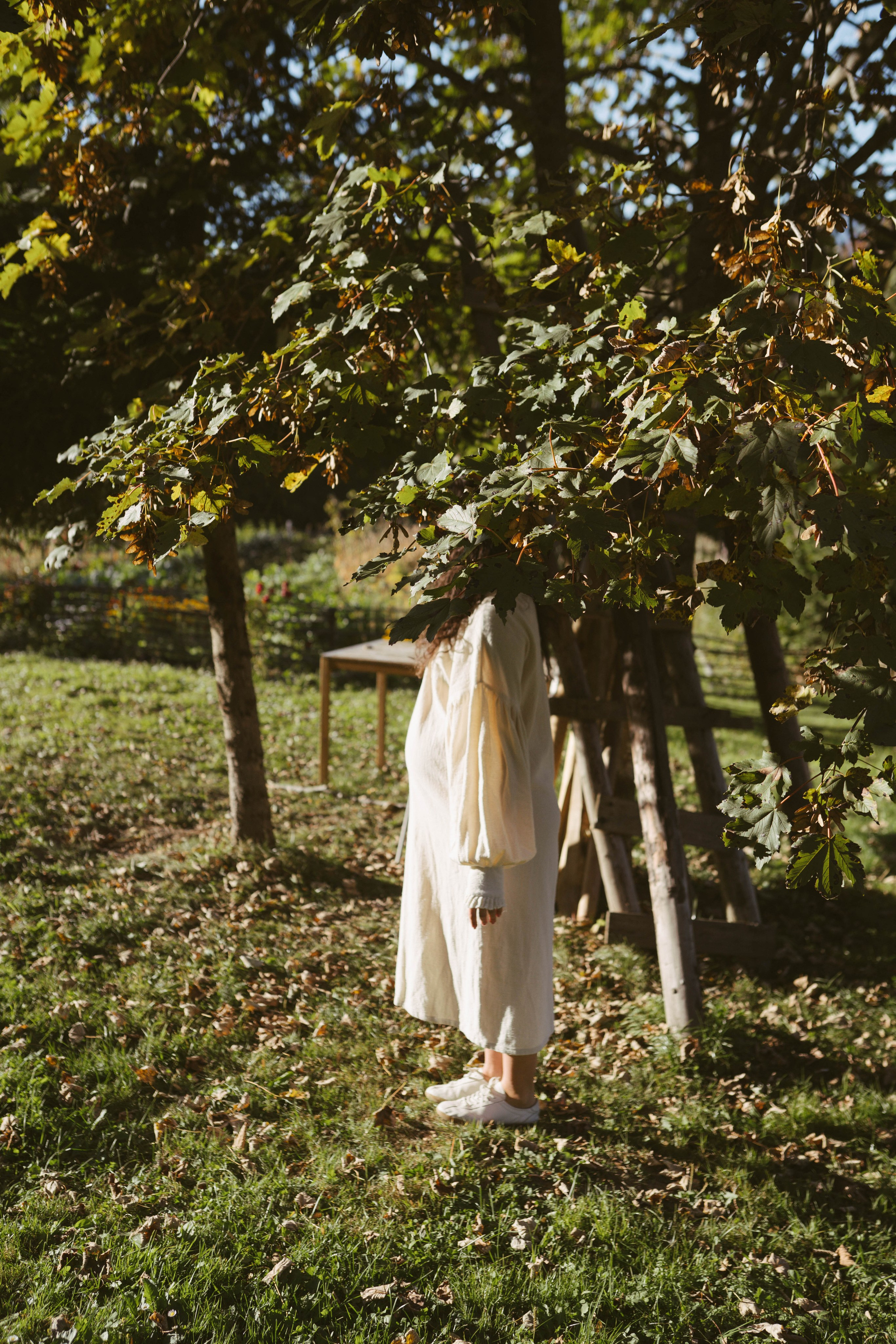 Poveste Toamna Colorata sesiune foto in natura toamna. Madalina Beda- Artist vizual, fotograf, doula la nastere, consultant babywearing Brasov si in toata tara