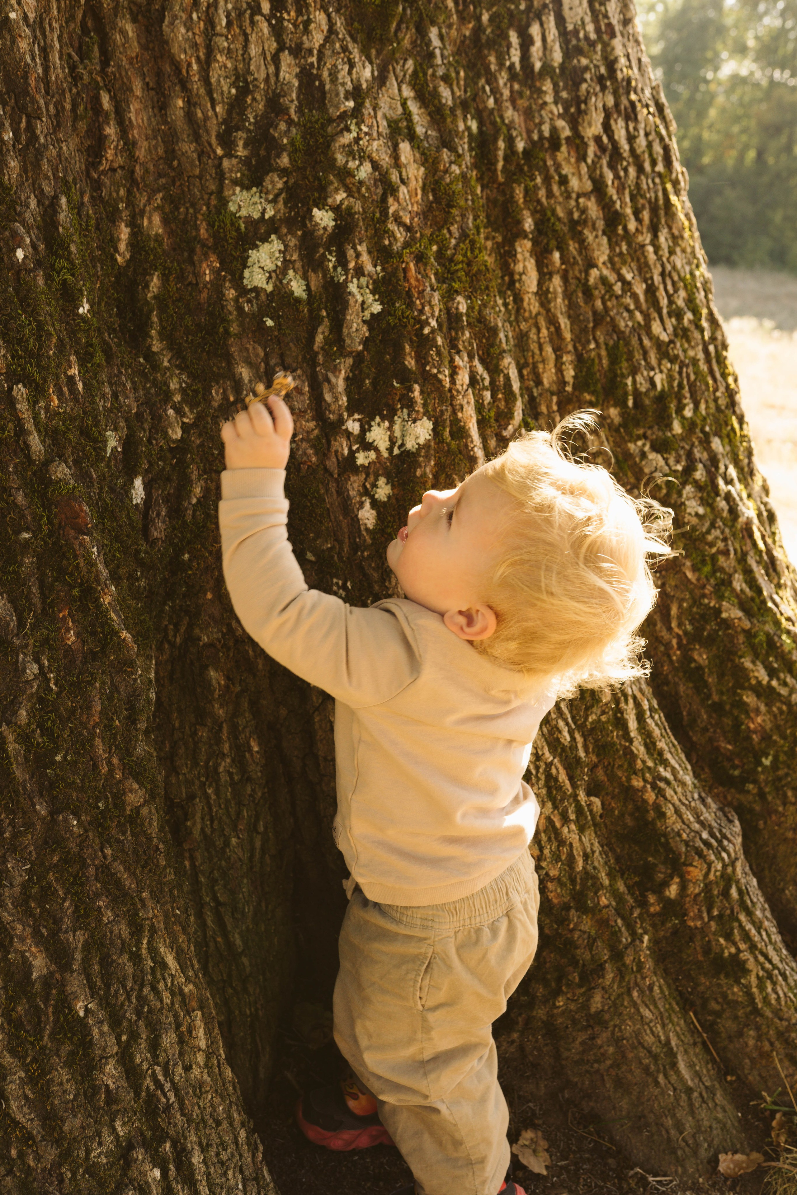 Poveste Toamna Colorata sesiune foto in natura toamna. Madalina Beda- Artist vizual, fotograf, doula la nastere, consultant babywearing Brasov si in toata tara