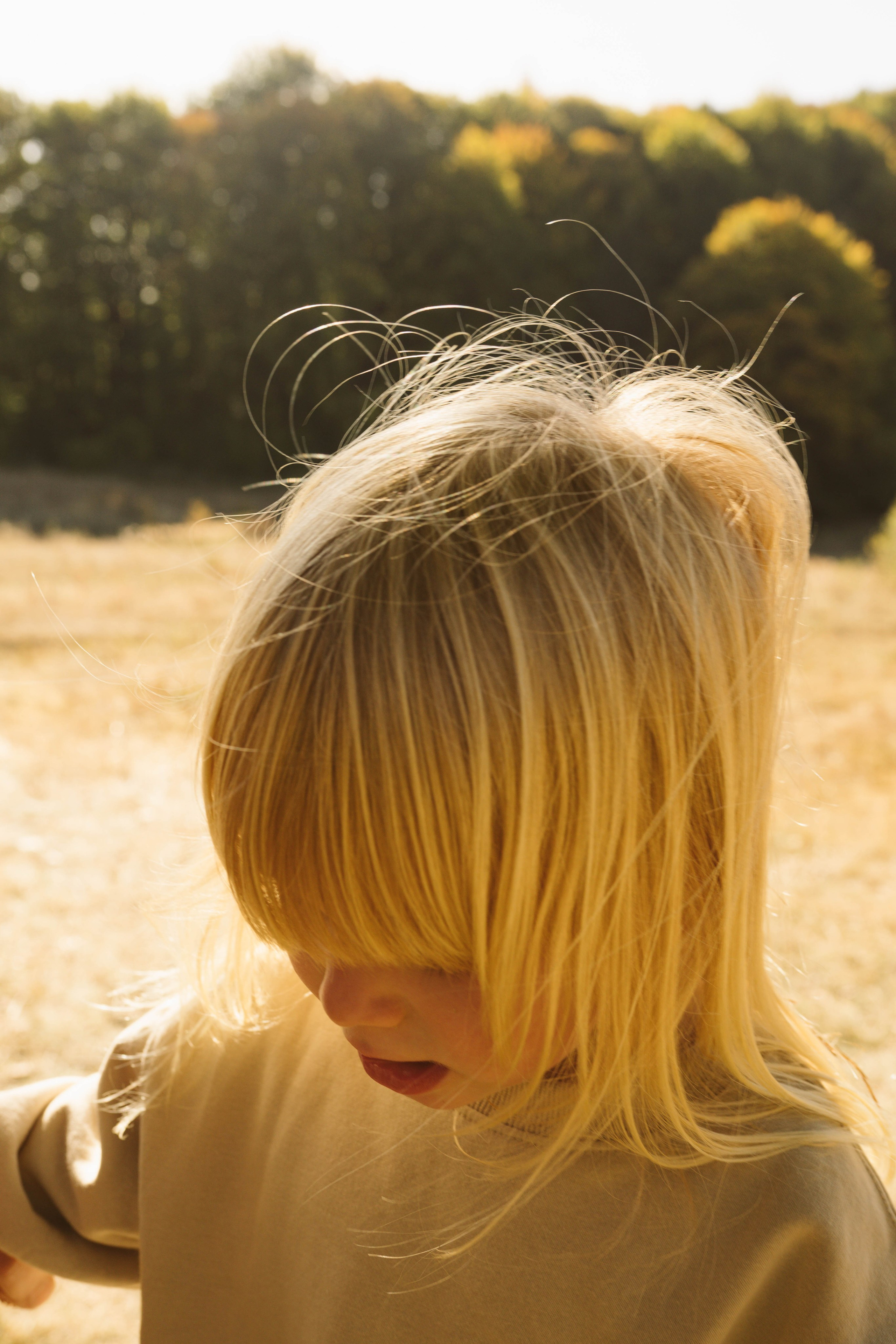 Poveste Toamna Colorata sesiune foto in natura toamna. Madalina Beda- Artist vizual, fotograf, doula la nastere, consultant babywearing Brasov si in toata tara