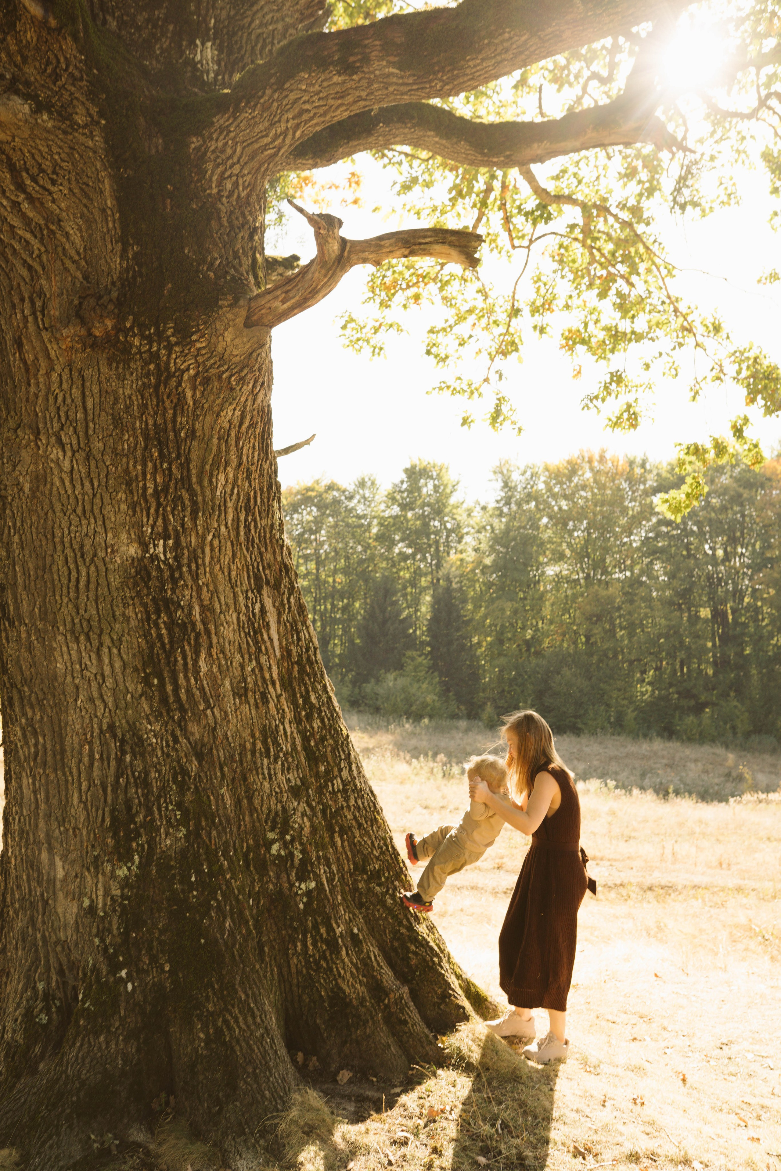Poveste Toamna Colorata sesiune foto in natura toamna. Madalina Beda- Artist vizual, fotograf, doula la nastere, consultant babywearing Brasov si in toata tara