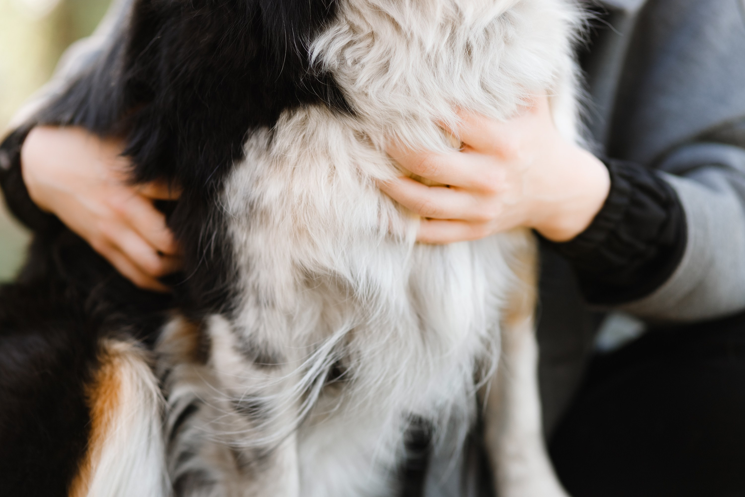 Dog trainer blog content. Kaja | fotograf we Wrocławiu | ludzie i psy