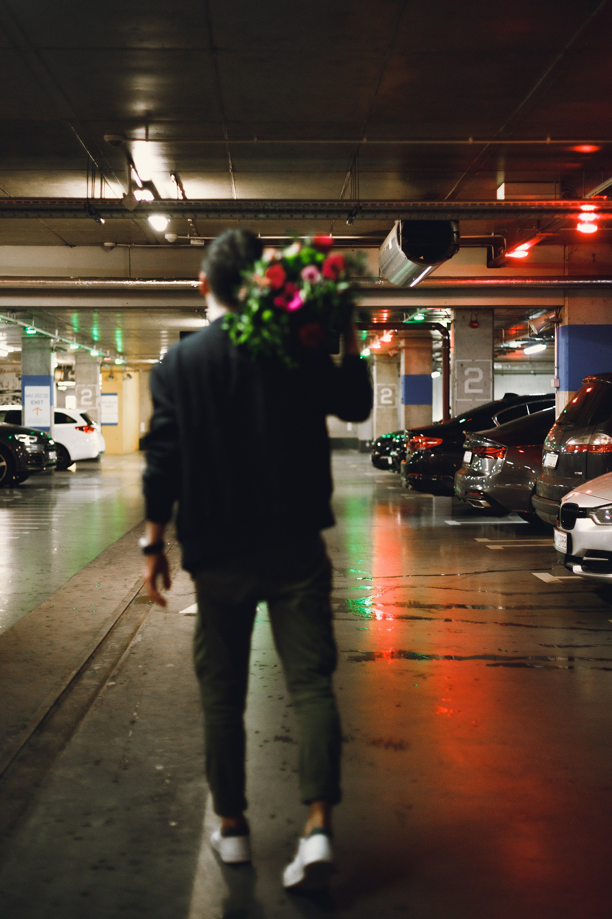 Artyom. Kaja | fotograf psów we Wrocławiu