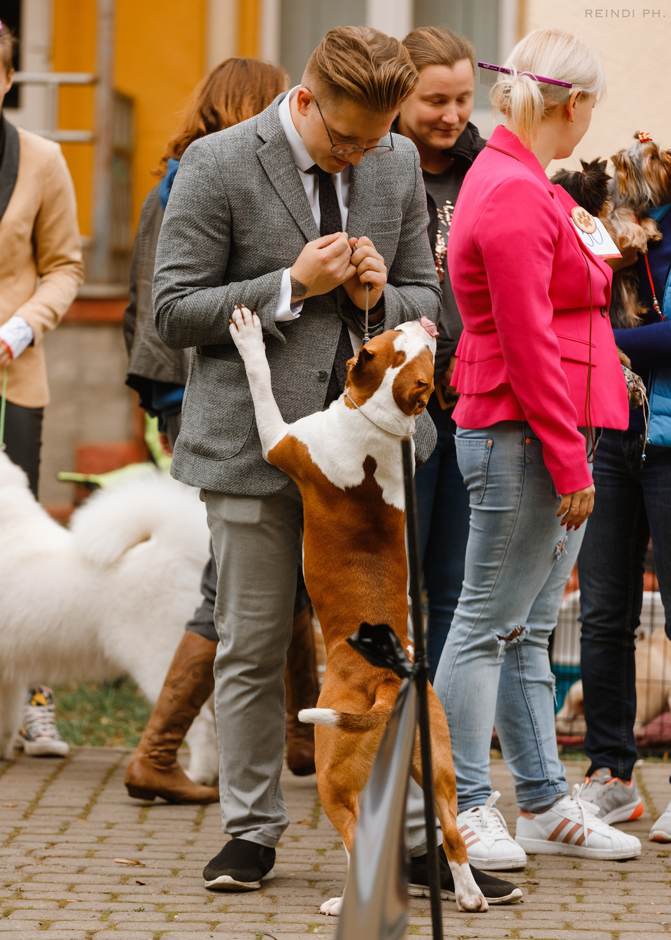 «Argus» dog show in Brest. Kaja | fotograf we Wrocławiu | ludzie i psy