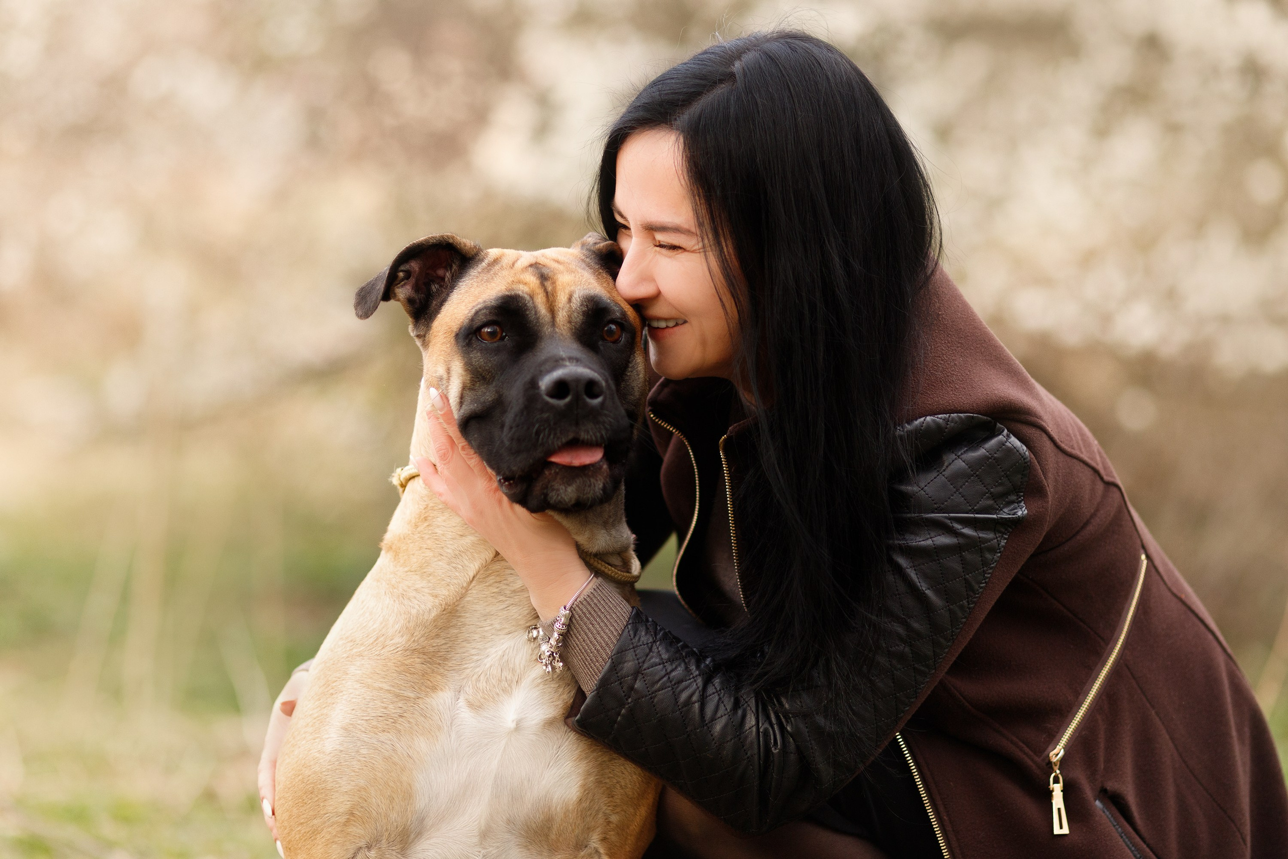 Spring ca de bou. Kaja | fotograf psów we Wrocławiu