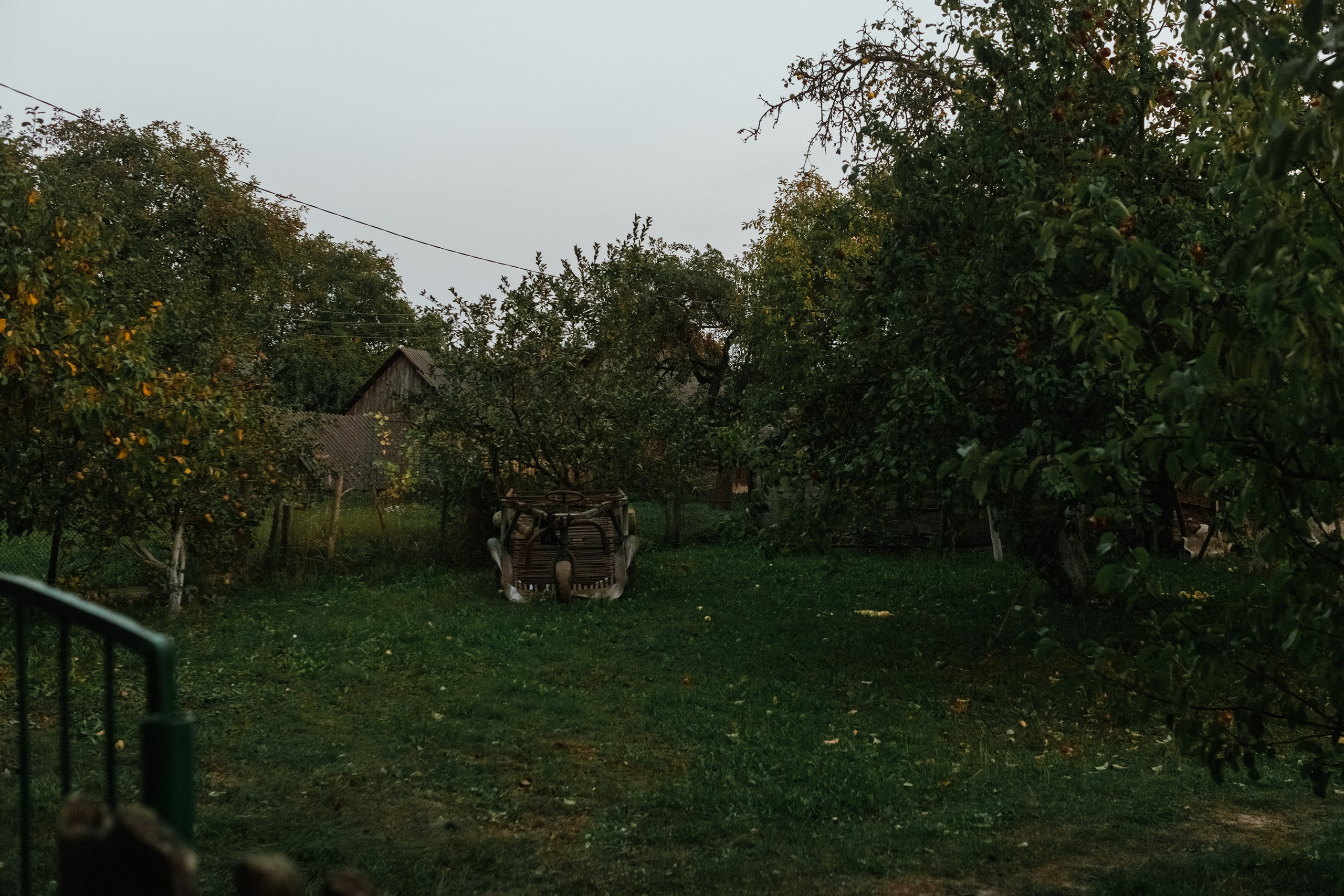 One small village in Grodno region. Kaja | fotograf we Wrocławiu | ludzie i psy