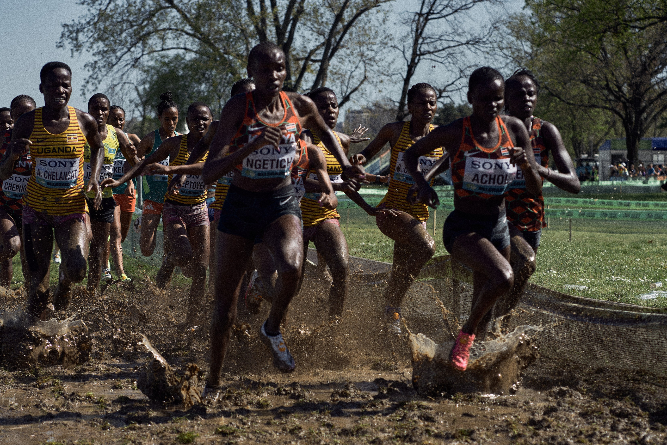 Cross Country Championship 2024 #running. Photographer Evgeniya Dovgalyuk