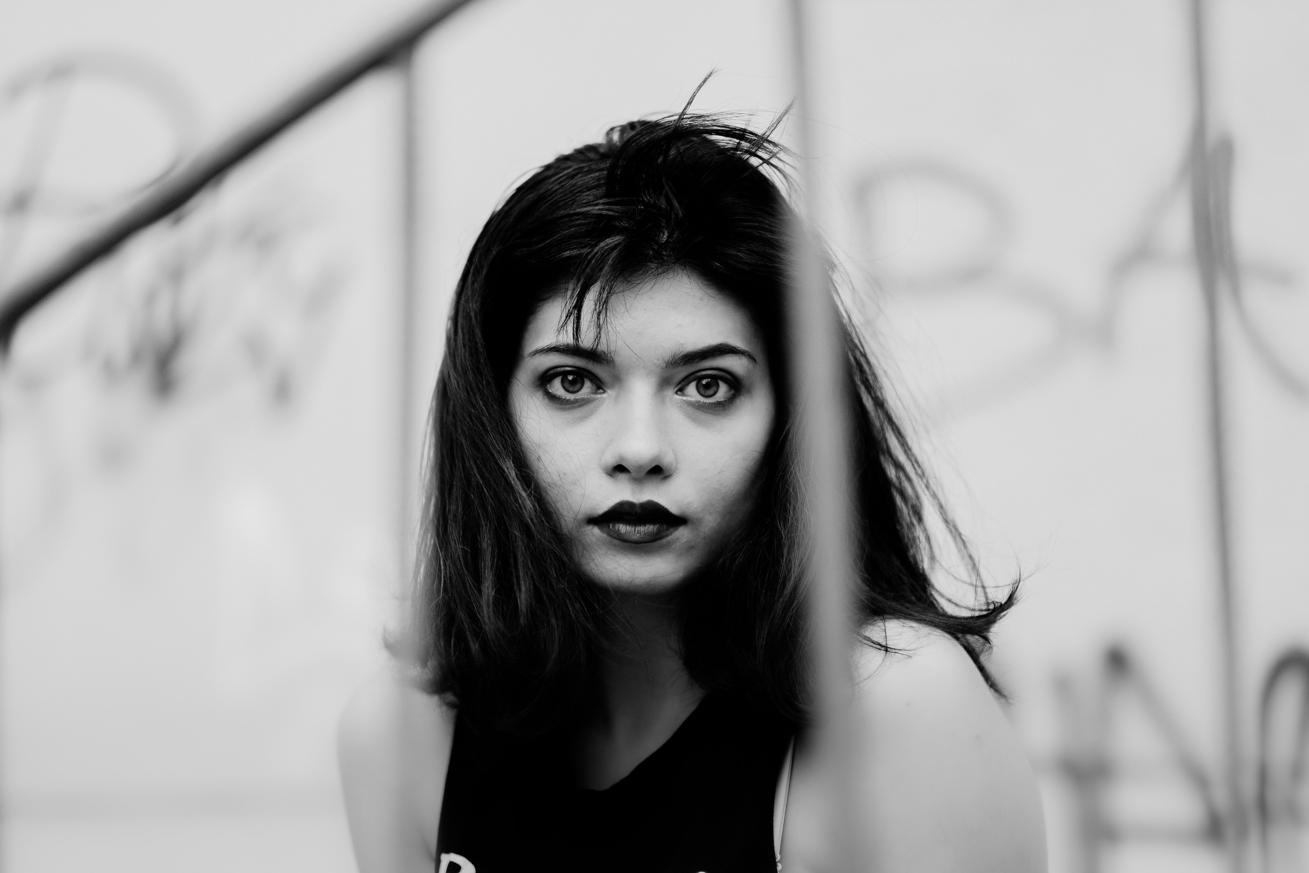 Alice. Hornetart