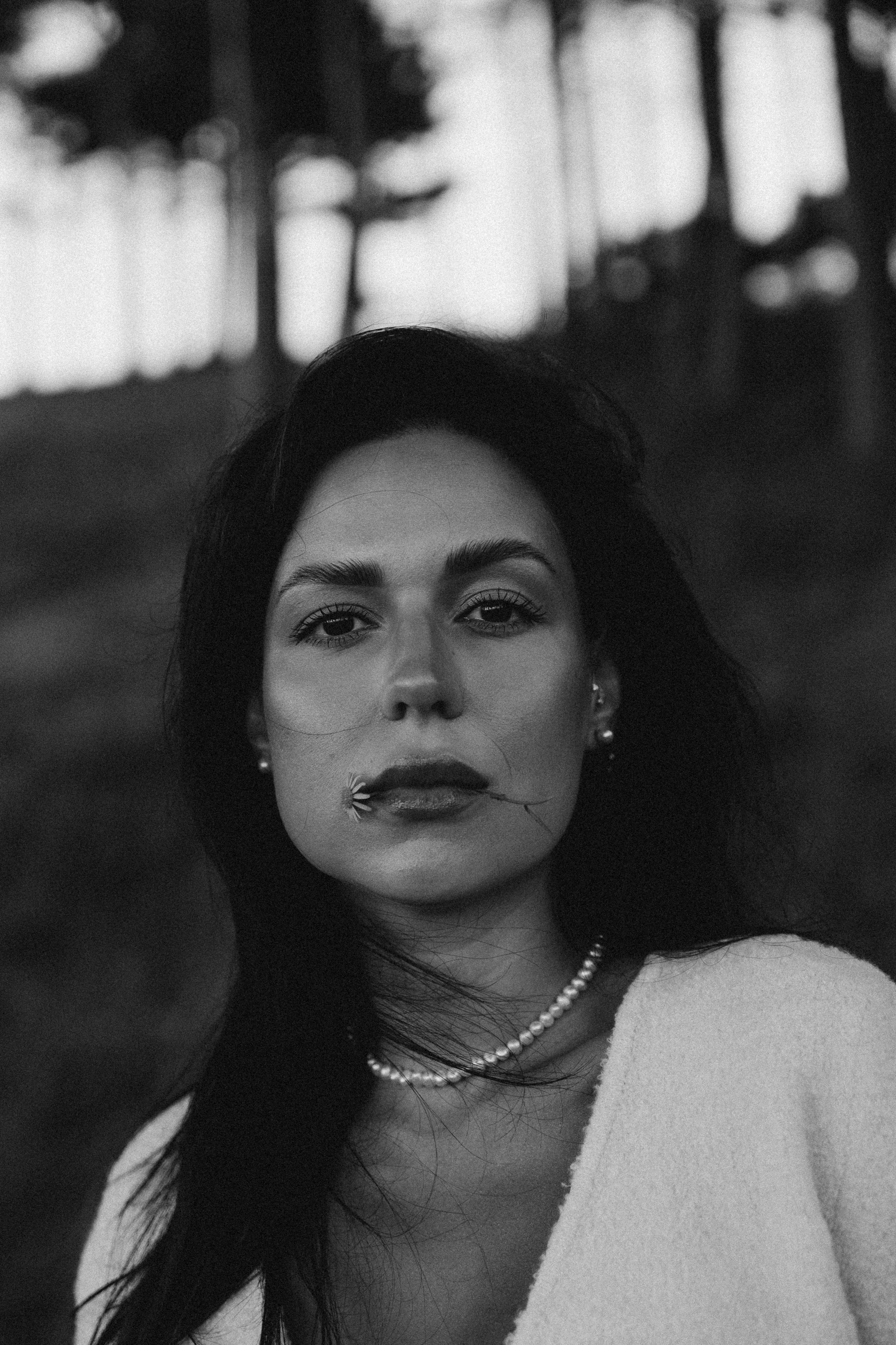 Personal. Photographer The Netherlands