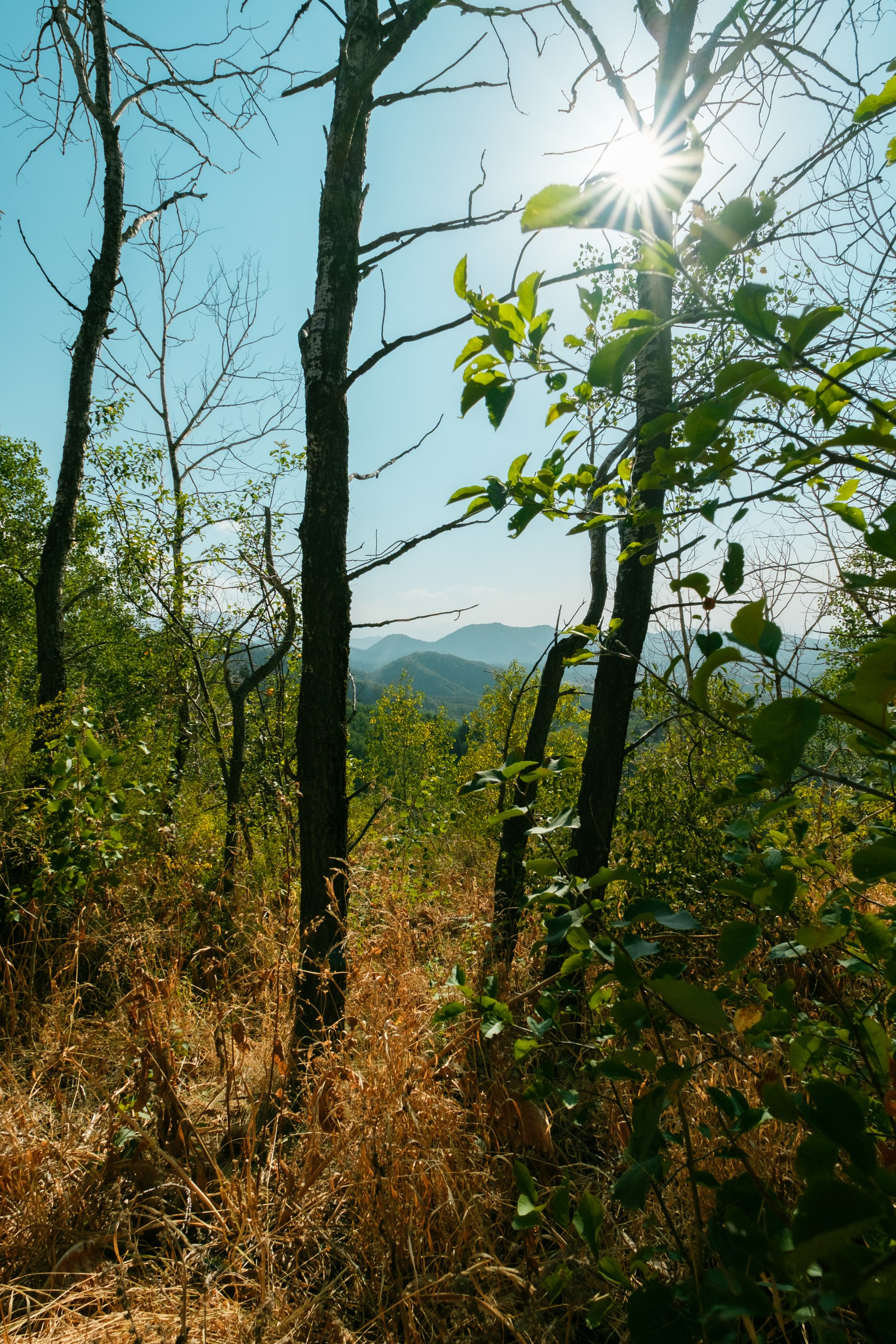 Sigma 12 mm F/1.4 DC DN Contemporary. Фотограф Григорий Кравец