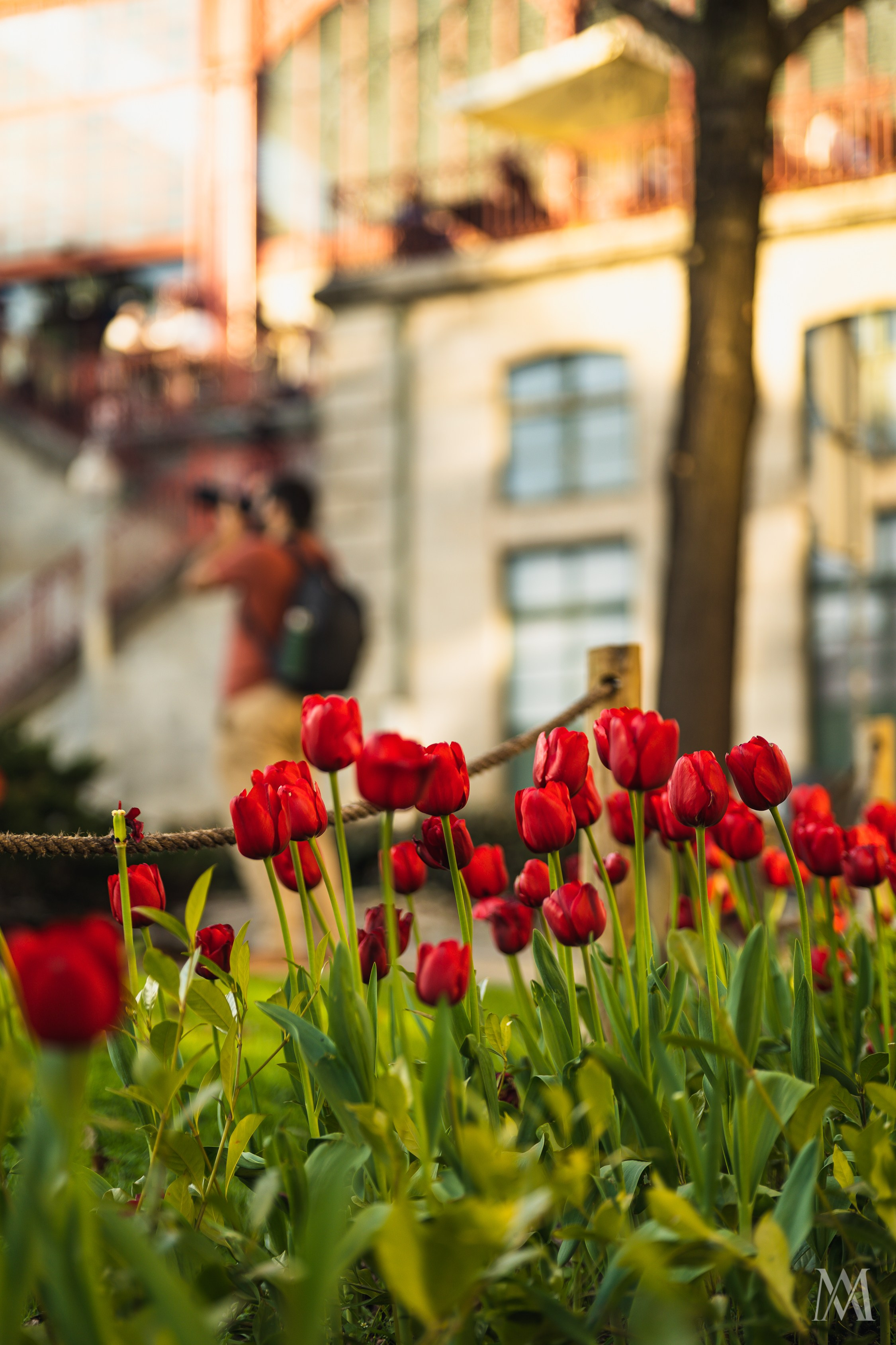 PORTO. MA Visuals — Fotografia e Vídeo
