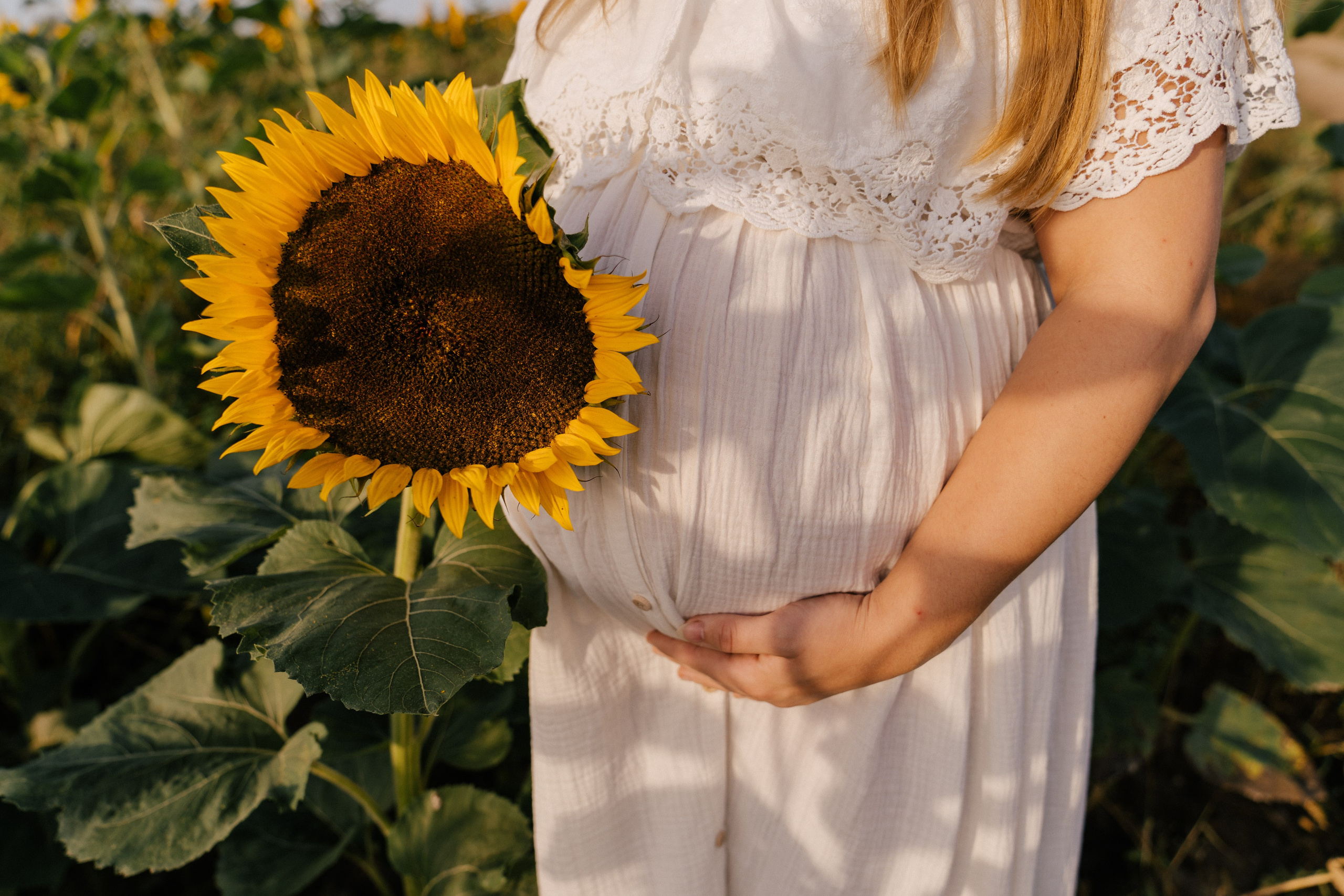 sesja-ciążowa-Gdańsk-słoneczniki-sesja-w-kwiatach-plener 