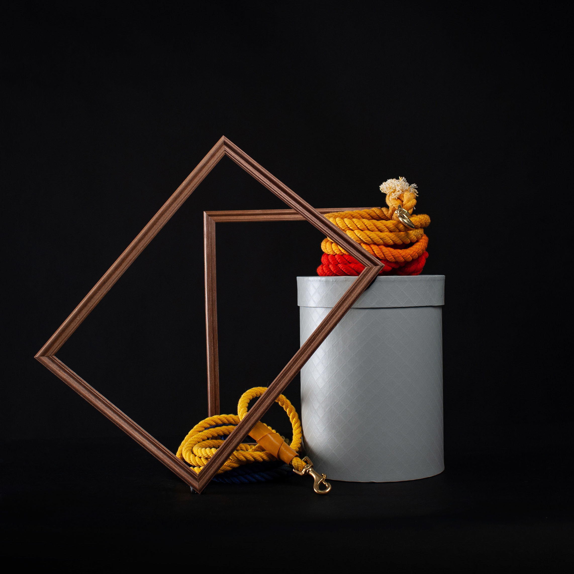 Commercial & UGC Pet Product Photography by Tanya Asfir. Tanya Asfir — Pet & Animal Photographer | Belgrade, Serbia