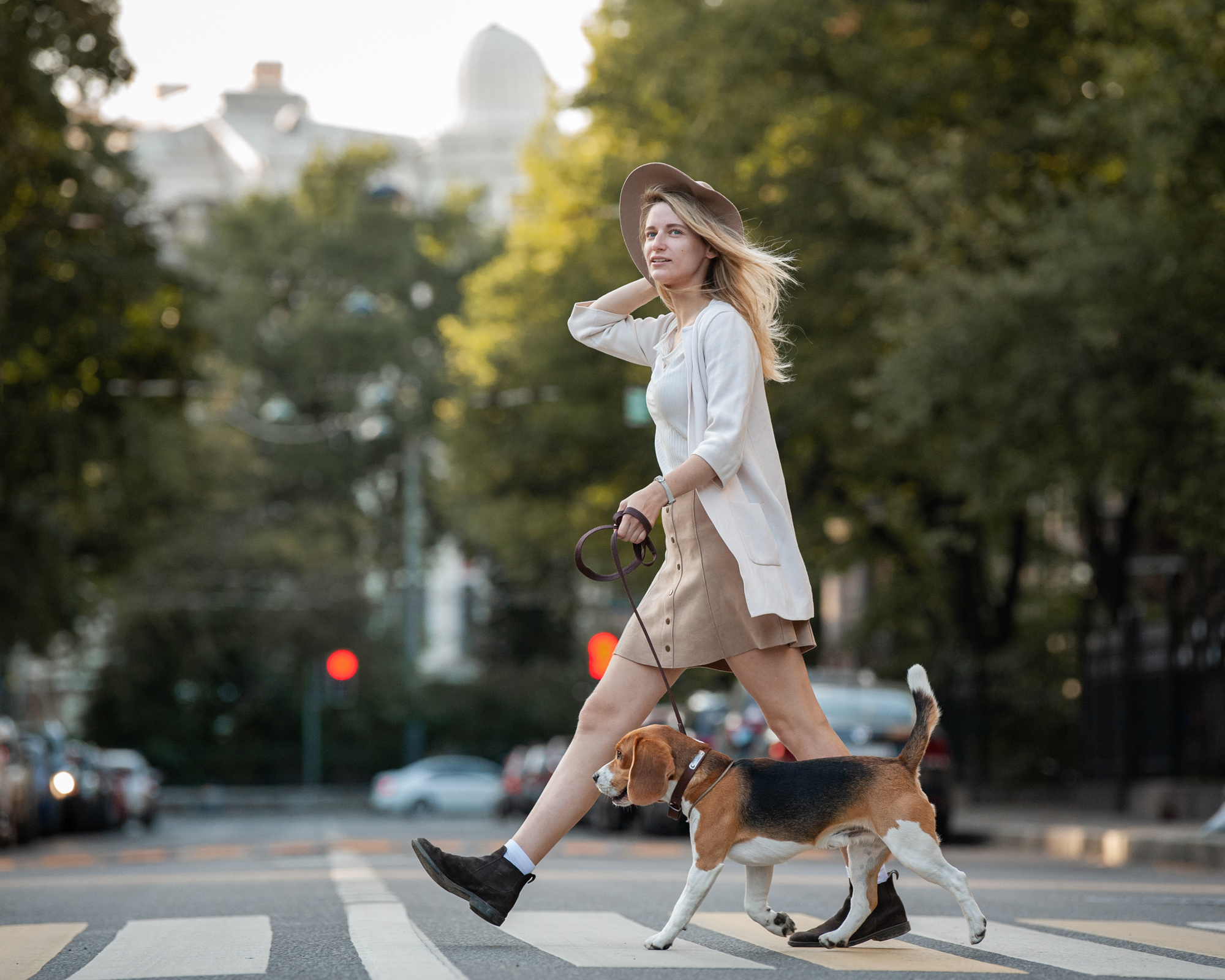 Outdoor Pet Photography by Tanya Asfir, Belgrade. Tanya Asfir — Pet & Animal Photographer | Belgrade, Serbia