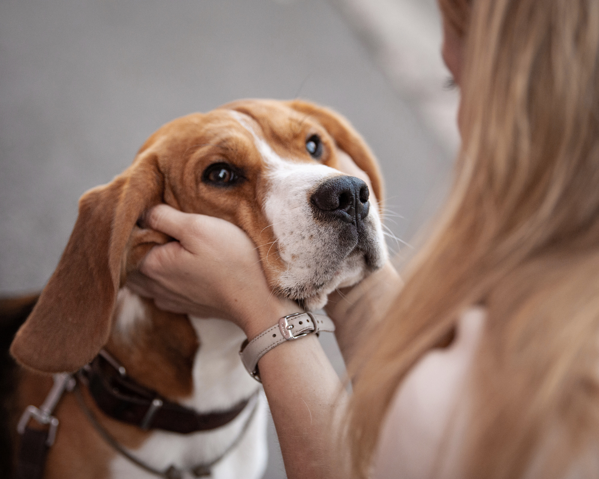 Outdoor Pet Photography by Tanya Asfir, Belgrade. Tanya Asfir — Pet & Animal Photographer | Belgrade, Serbia