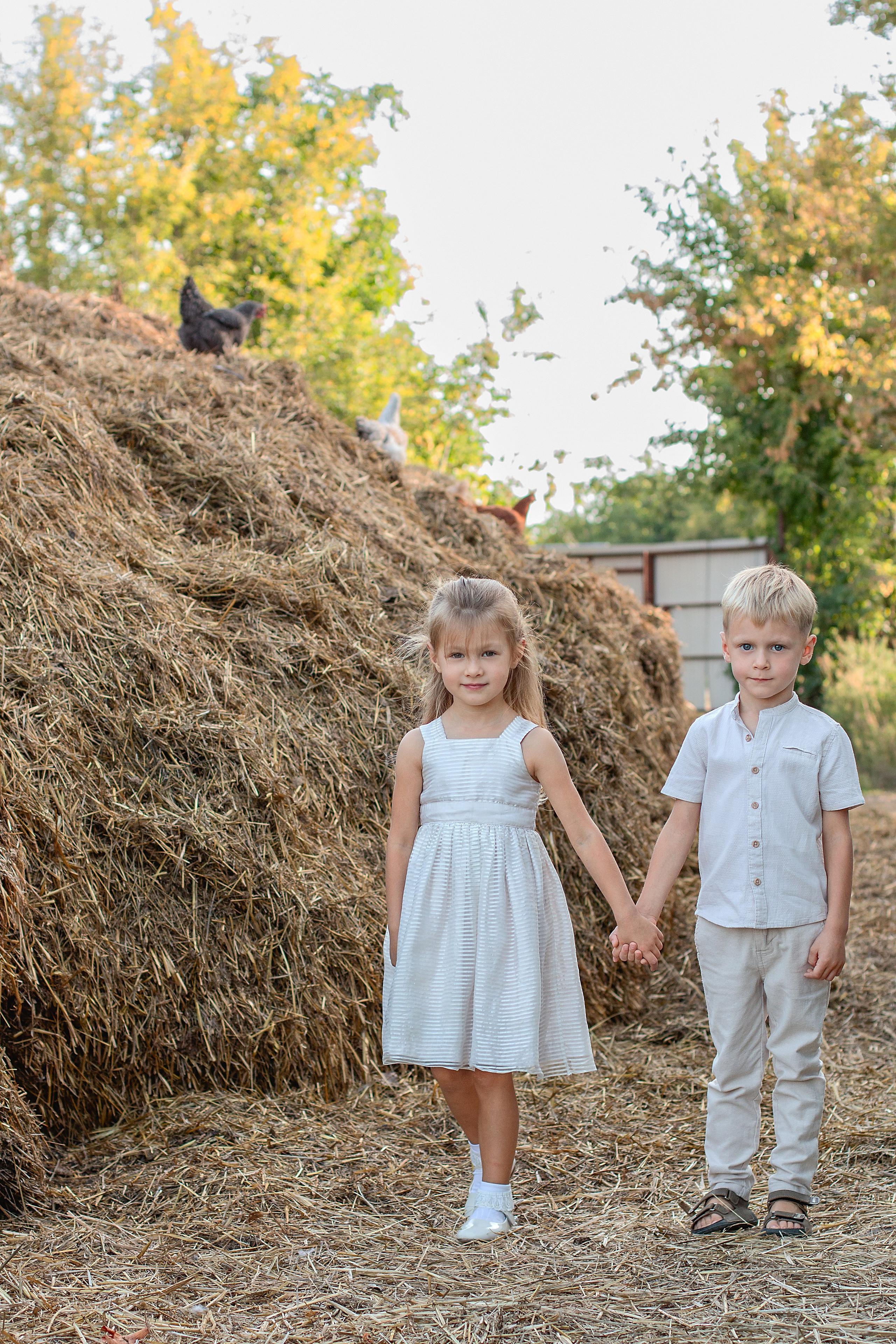 Конюшня. Детский и семейный фотограф в г. Бельцы