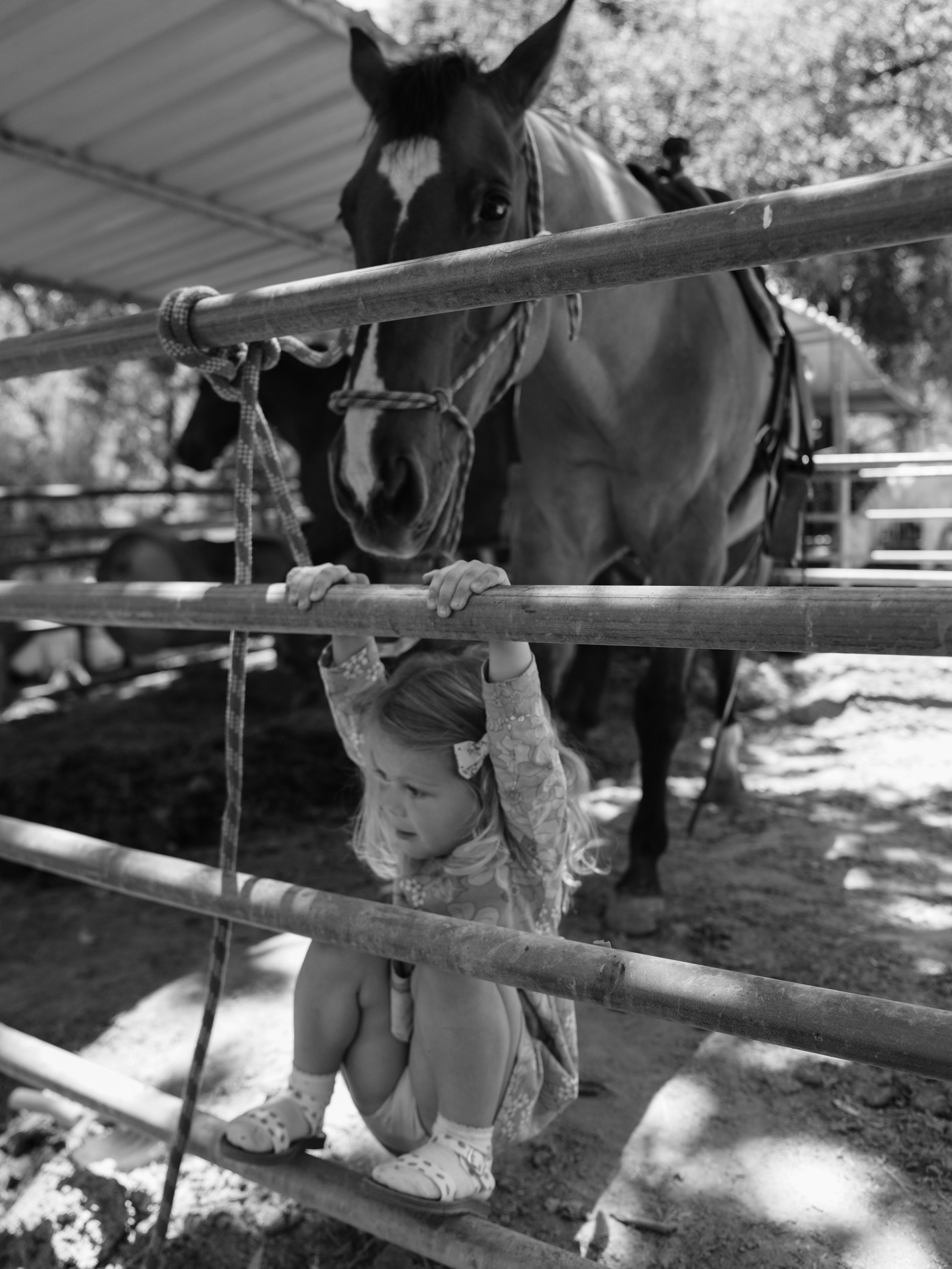 Children with horses. Фотограф и видеограф в США (и по всему миру) — Татьяна Иванова