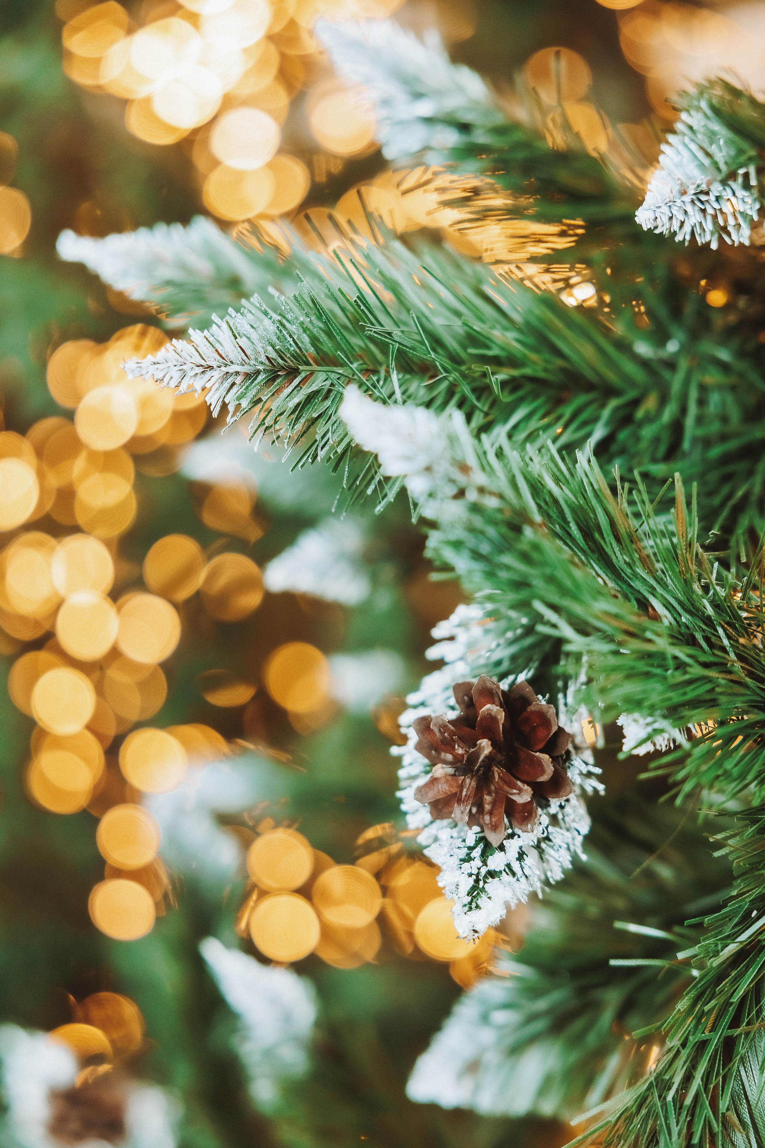 Декор 2023-24. Фотограф Ирина Йотова