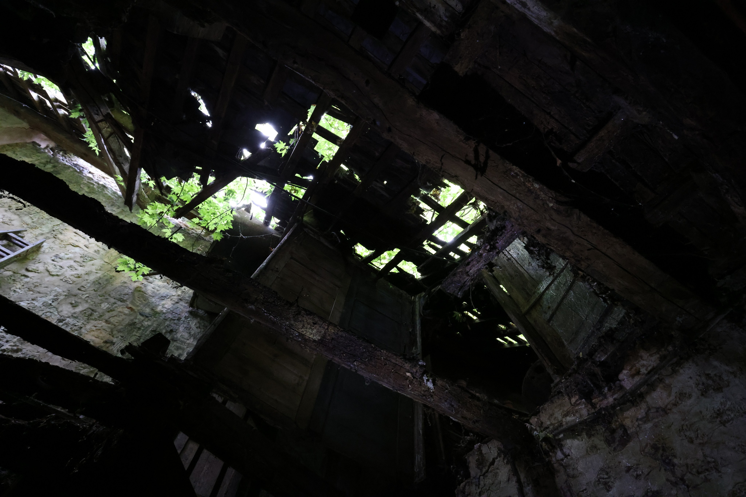 MAISON AU BOIS DORMANT. Natalia Bogdanovska. Films et photographie corporate en France