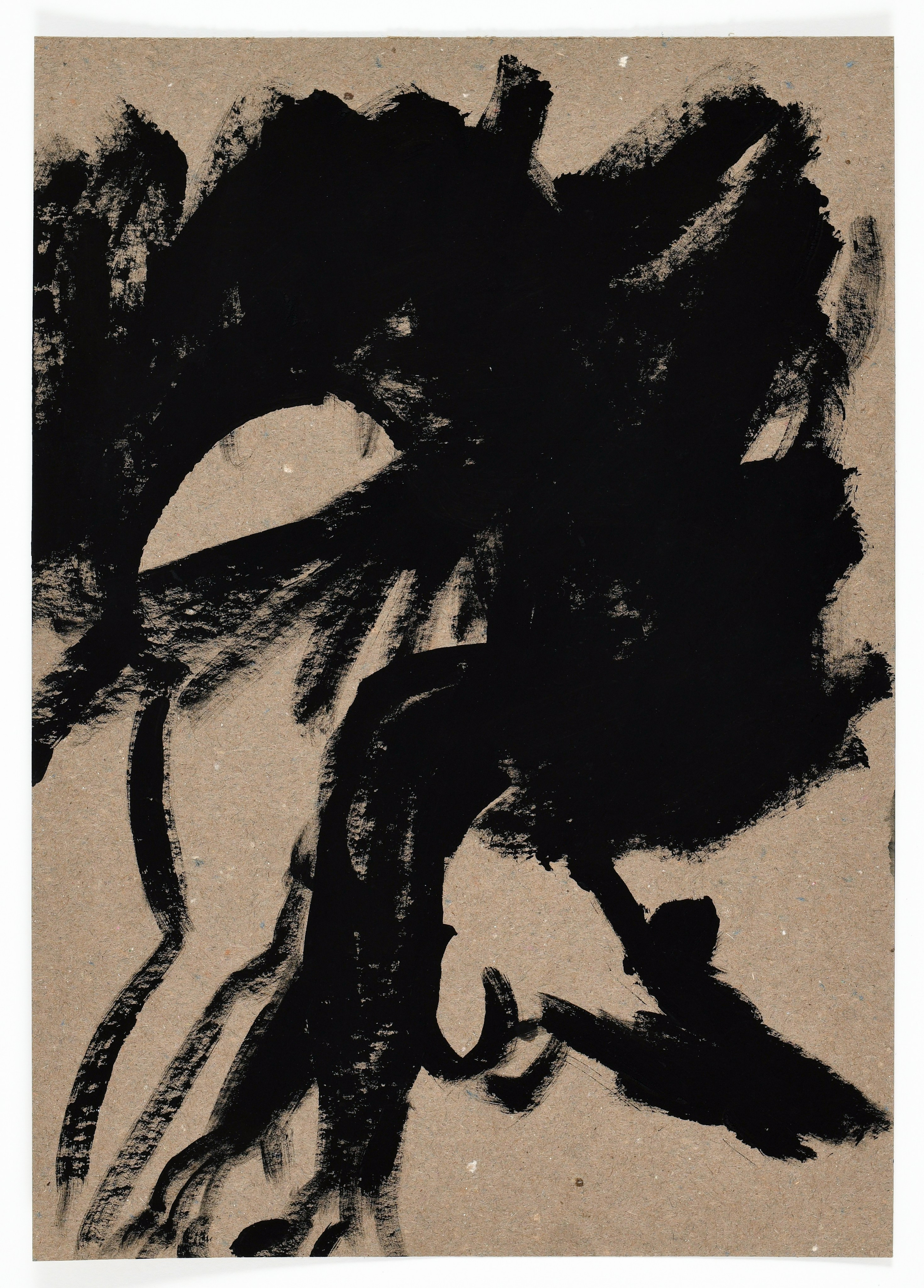 Birds and rats, 2020. Haim Sokol’s artists website