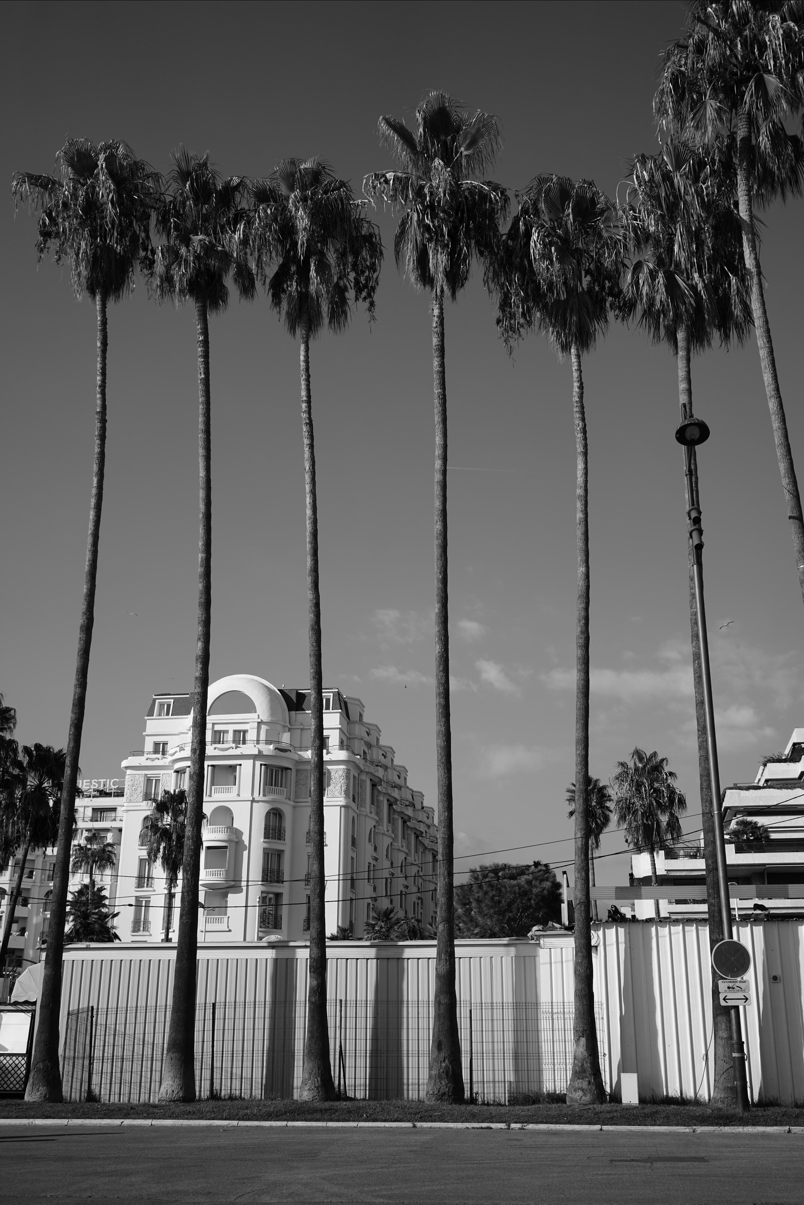 Cote D'Azur | Anastasiia Nelen photographer