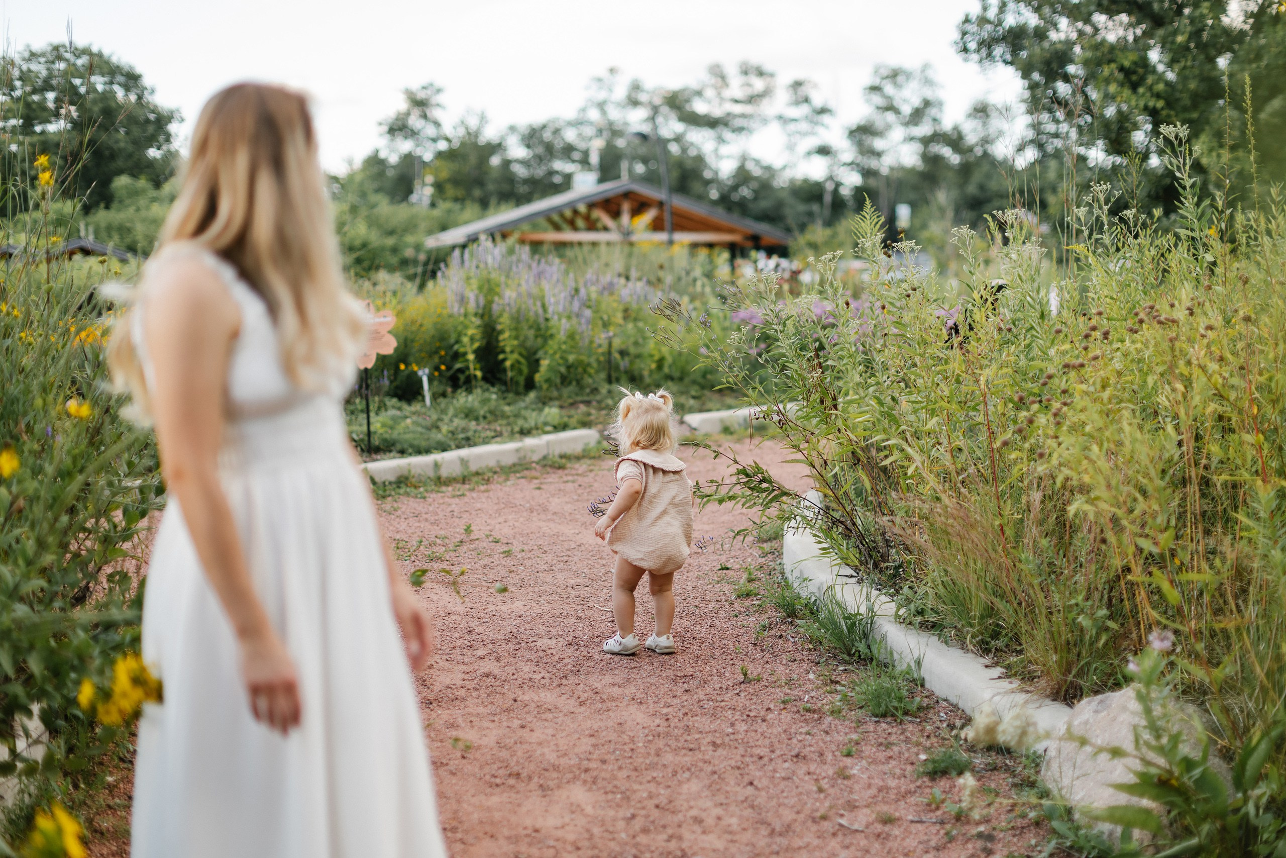 08.21.25 Family Photoshoot. Wedding family event photographer in Chicago Nick Yushevich