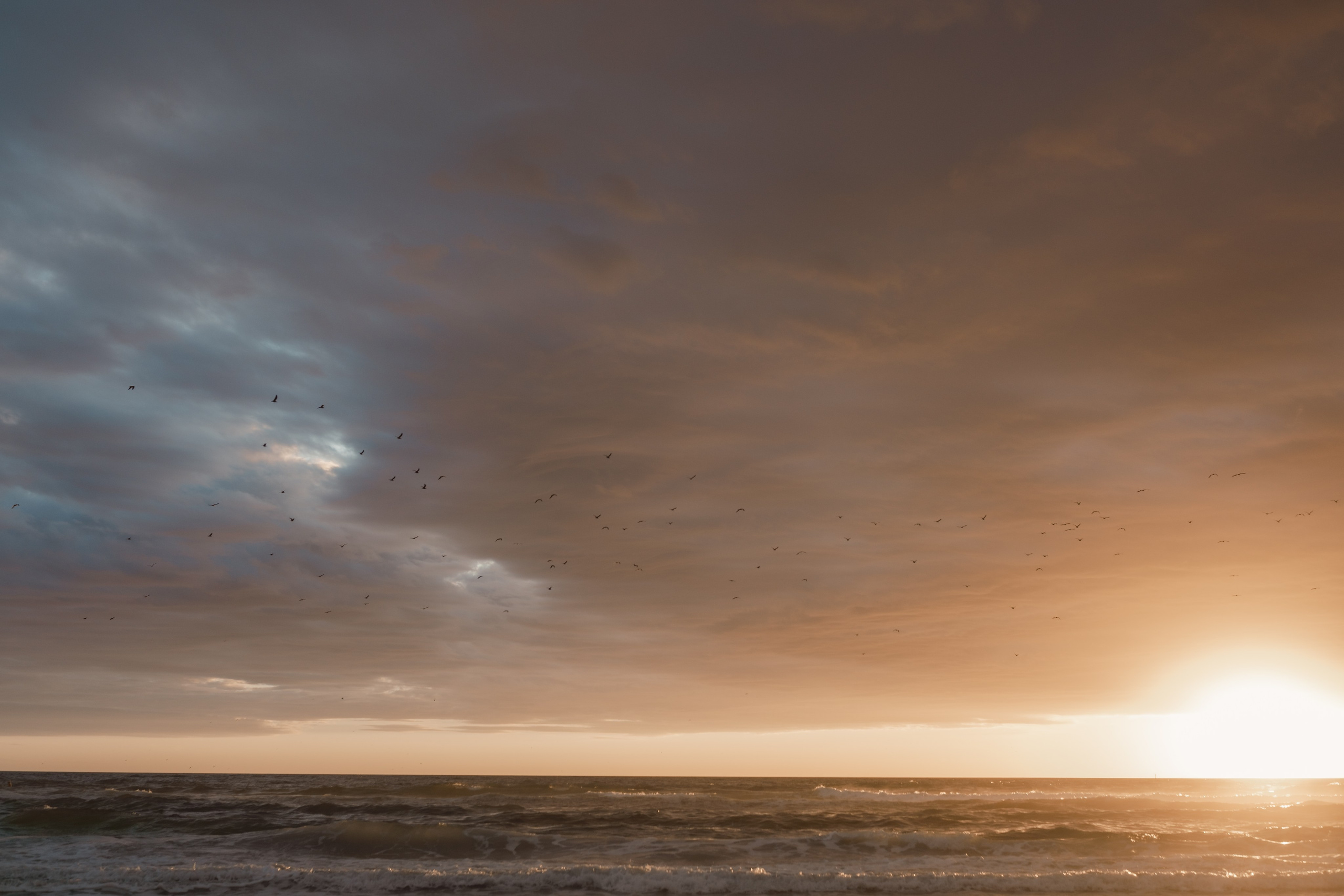 Engagement sunset photoshoot on the beach in Sarasota Florida