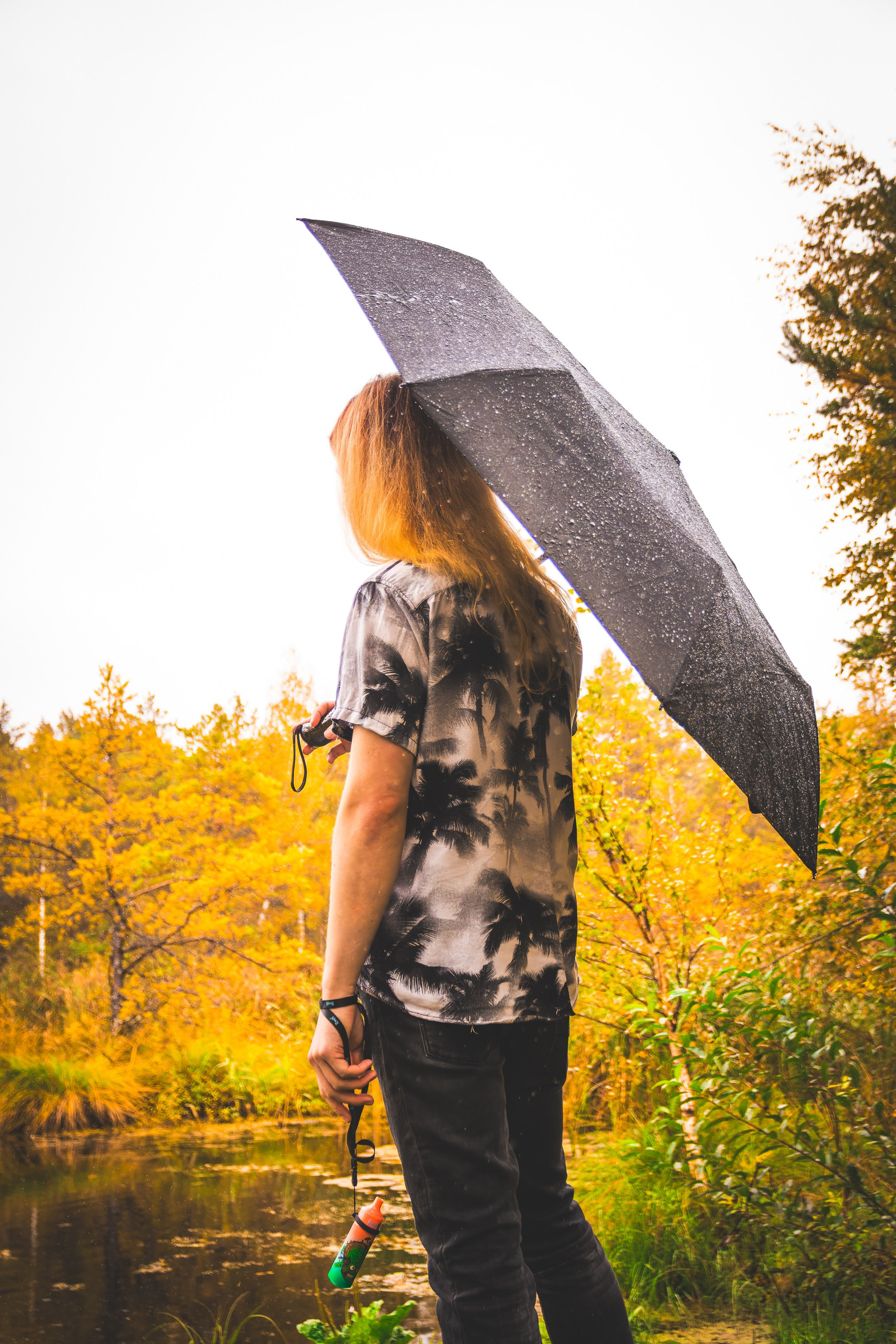 Mets, vihm ja jahedus (Dimitry). Nebula 25 — Fotod teie hingele