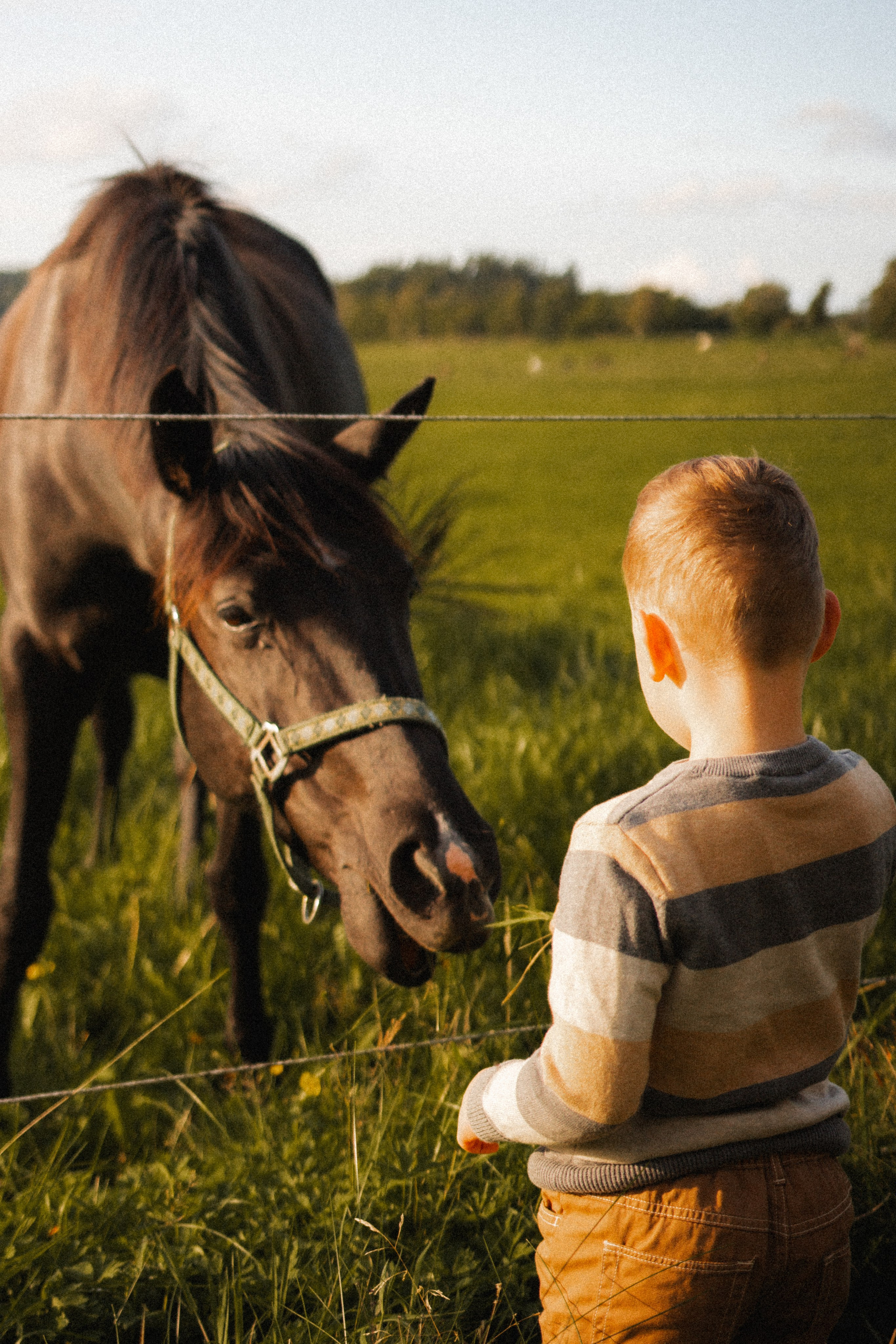 Mother and son’s story. Photographer in Gothenburg Aleksandra Stroganova