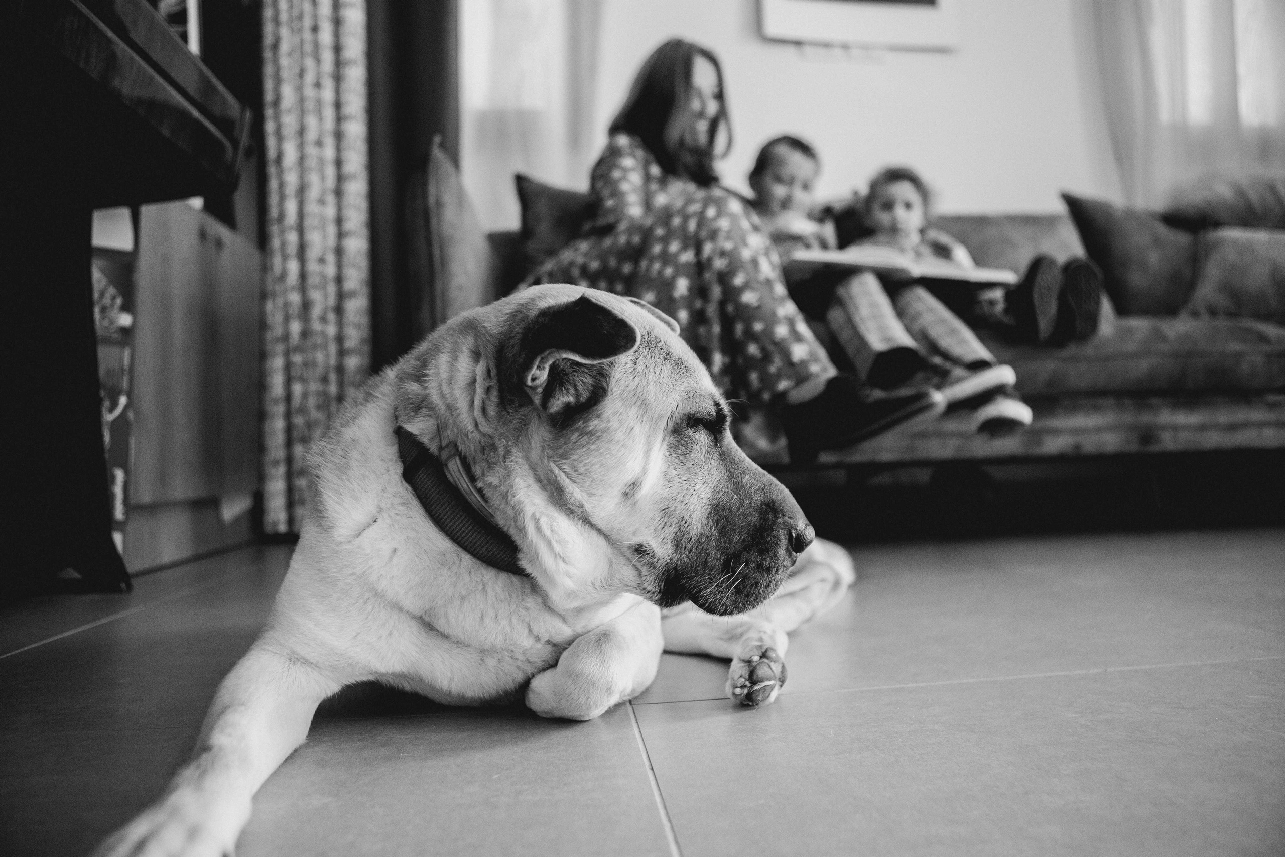 KIM FAMILY. Https://shi-photo.com/