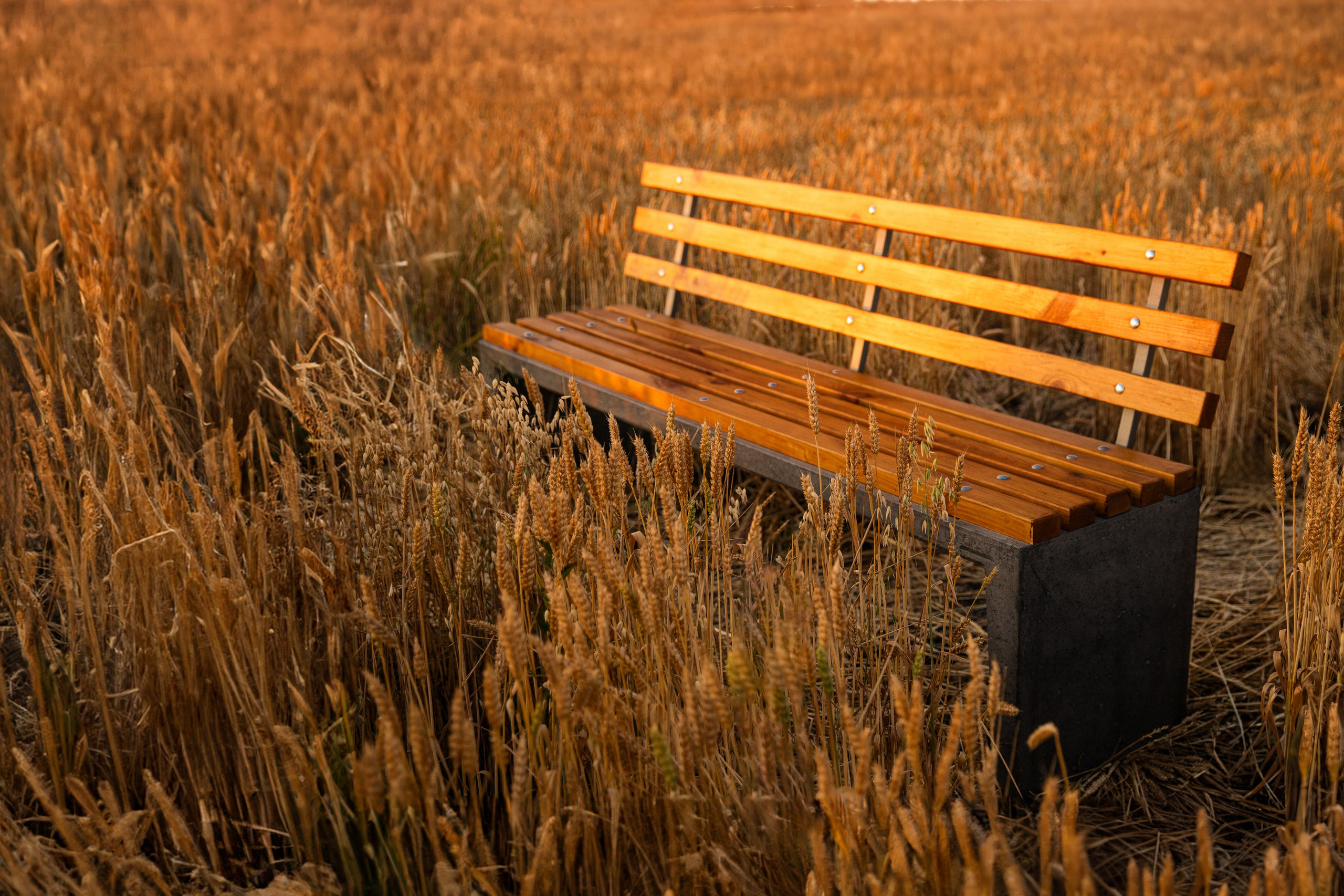 Companie „DecorStone”. Fotograf și Videograf | Chișinău, Moldova