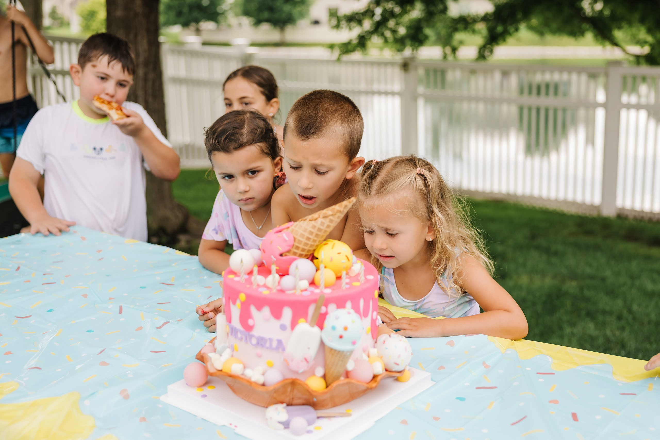 Birthday Party. Wedding family event photographer in Chicago Nick Yushevich