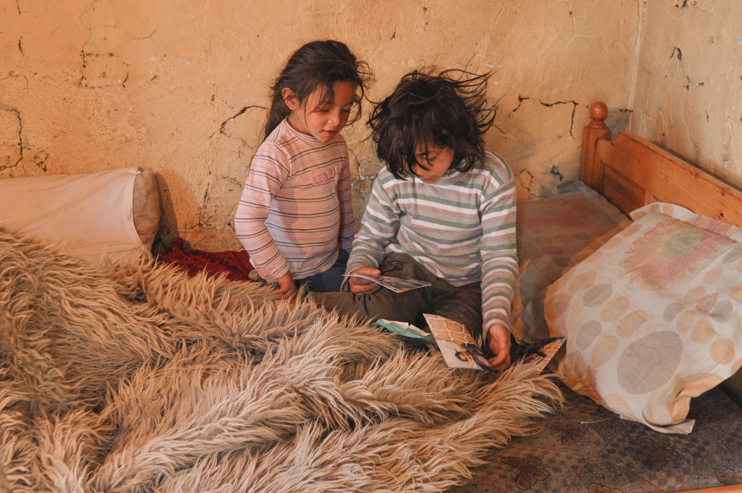 Hope for Cherry Blossom. Mayya Kelova artist