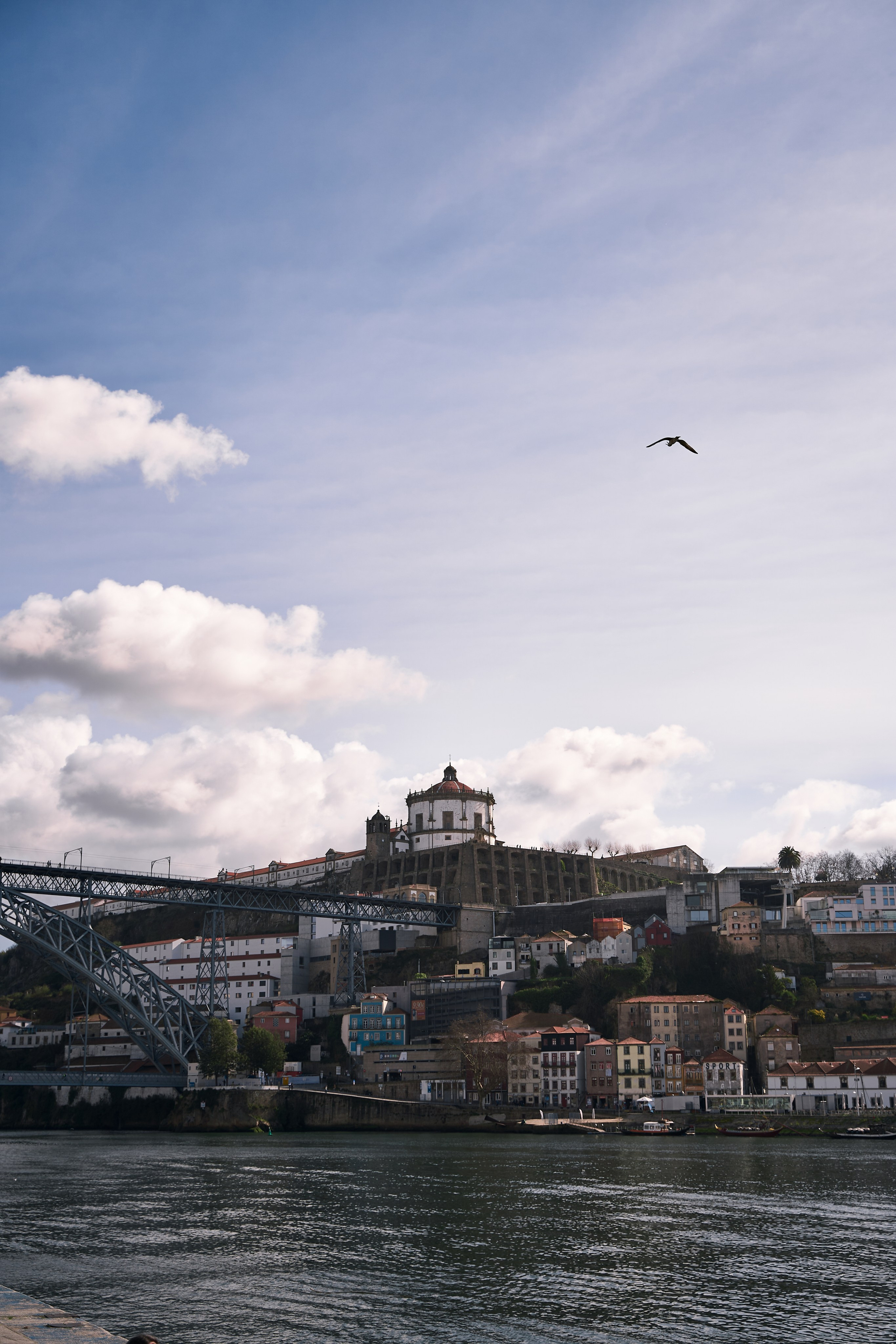 Portugal. Denshyr — Visual Artist