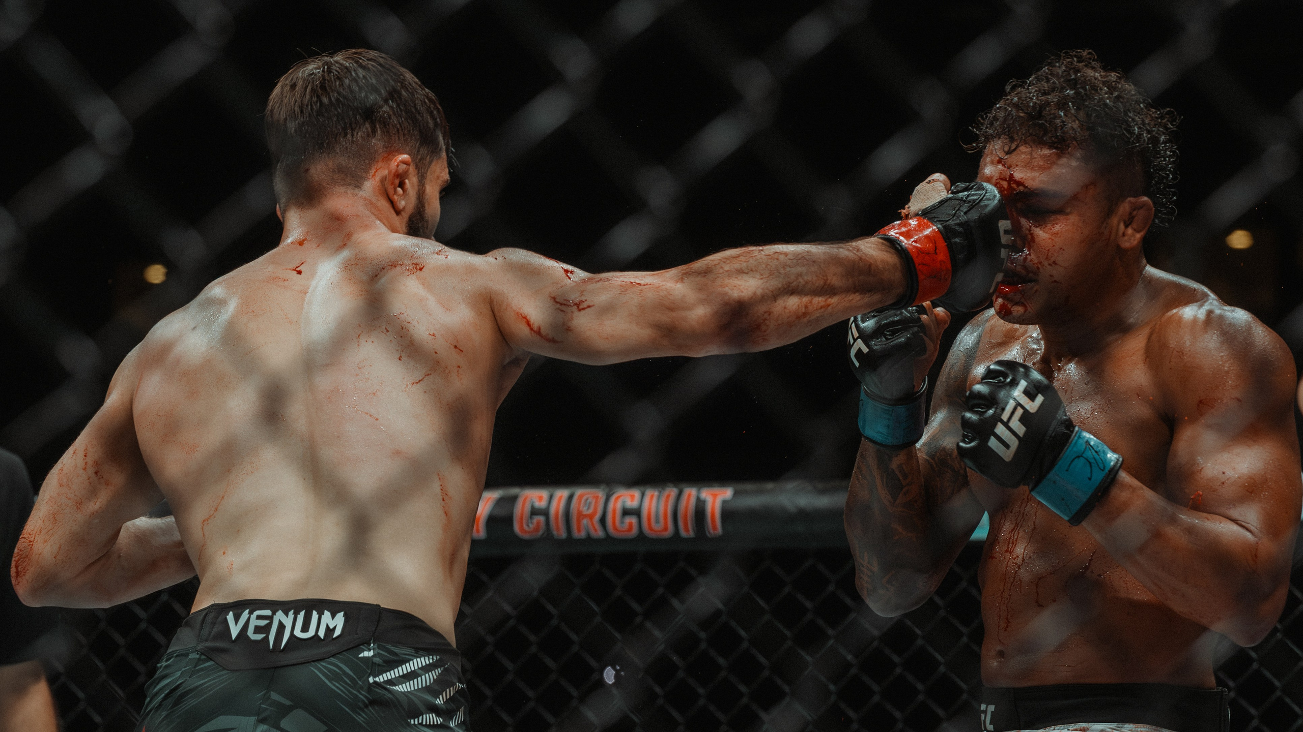 UFC. Commercial and Event photographer Eltaj