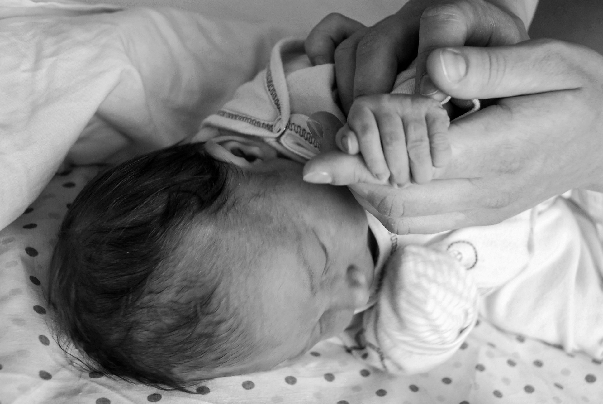 Nyföddfotografering. Family and portrait photographer Natalja Biteniece