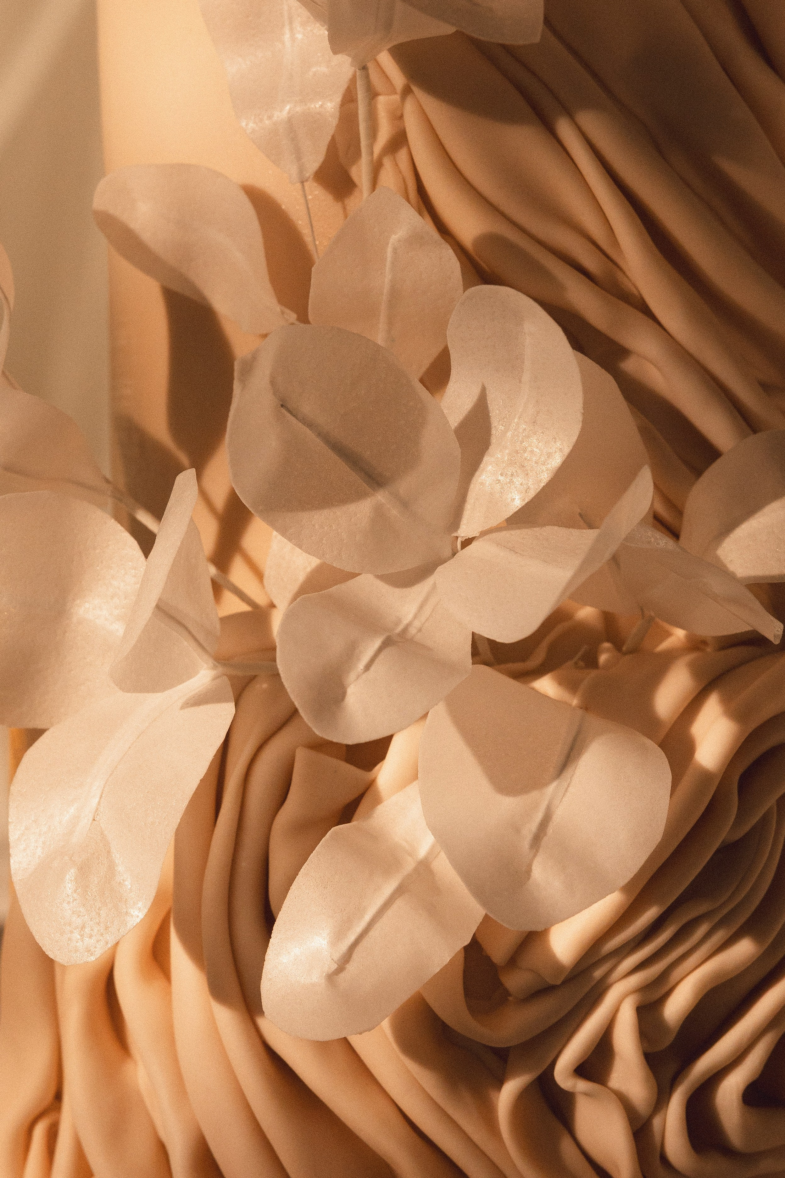 Pearl Stage. Азимжан Нуритдинходжаев — свадебный фотограф