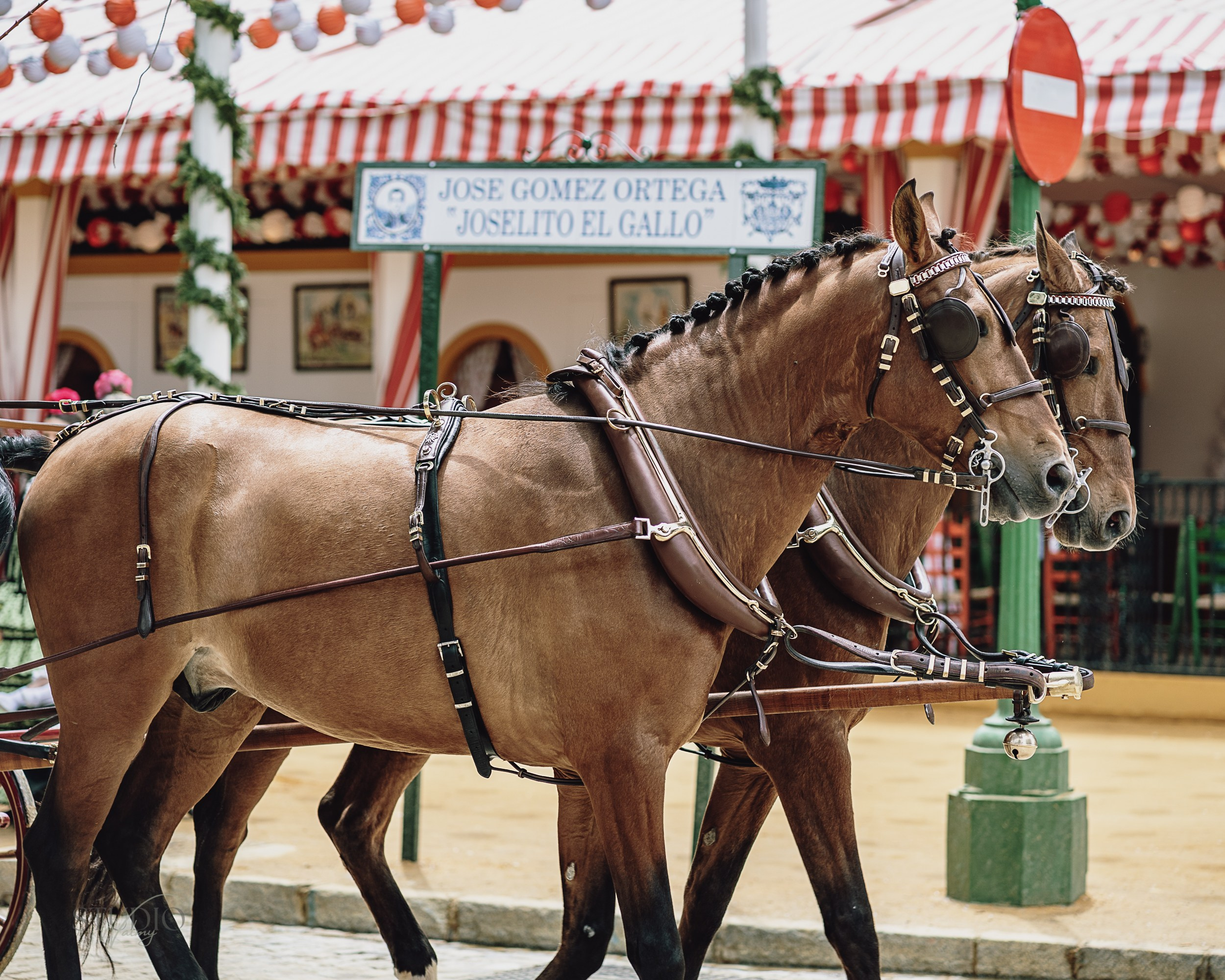 Sesión de fotos en feria de Abril de Sevilla. Inicio