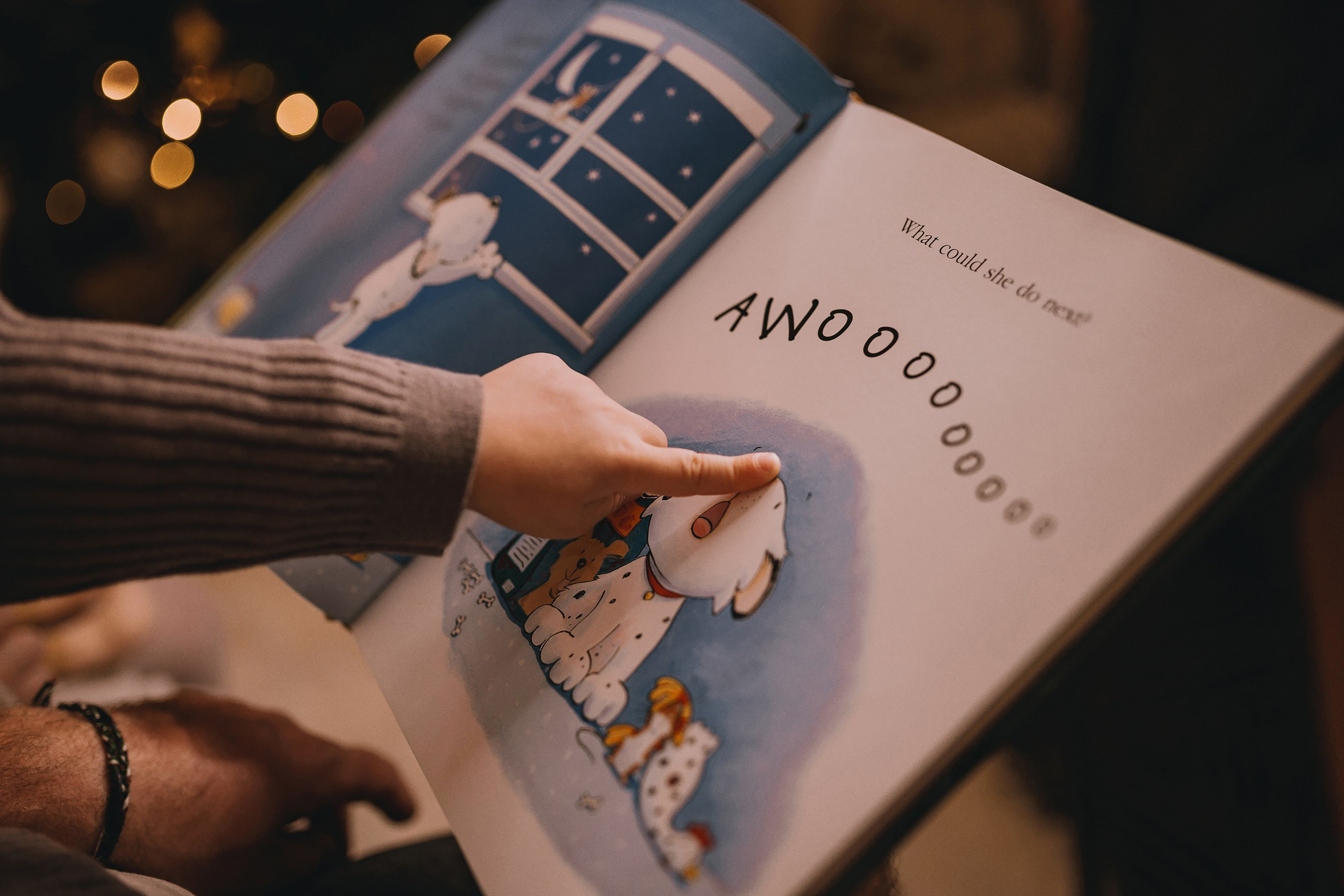 11.15.2025 Christmas Photoshoot. Wedding family event photographer in Chicago Nick Yushevich