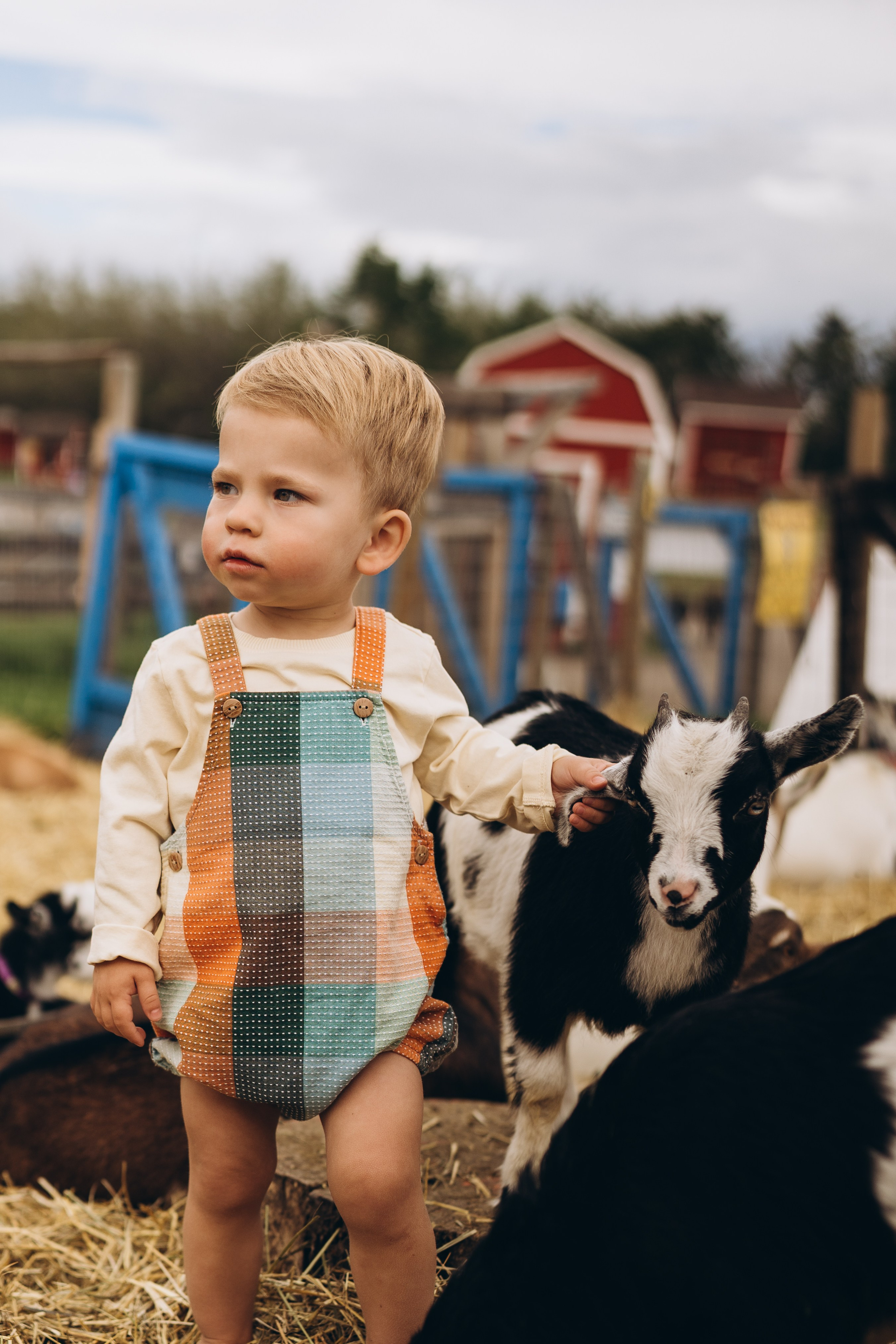 Lev. Calgary Wedding & Lifestyle Photographer — Yevhen Polishchuk