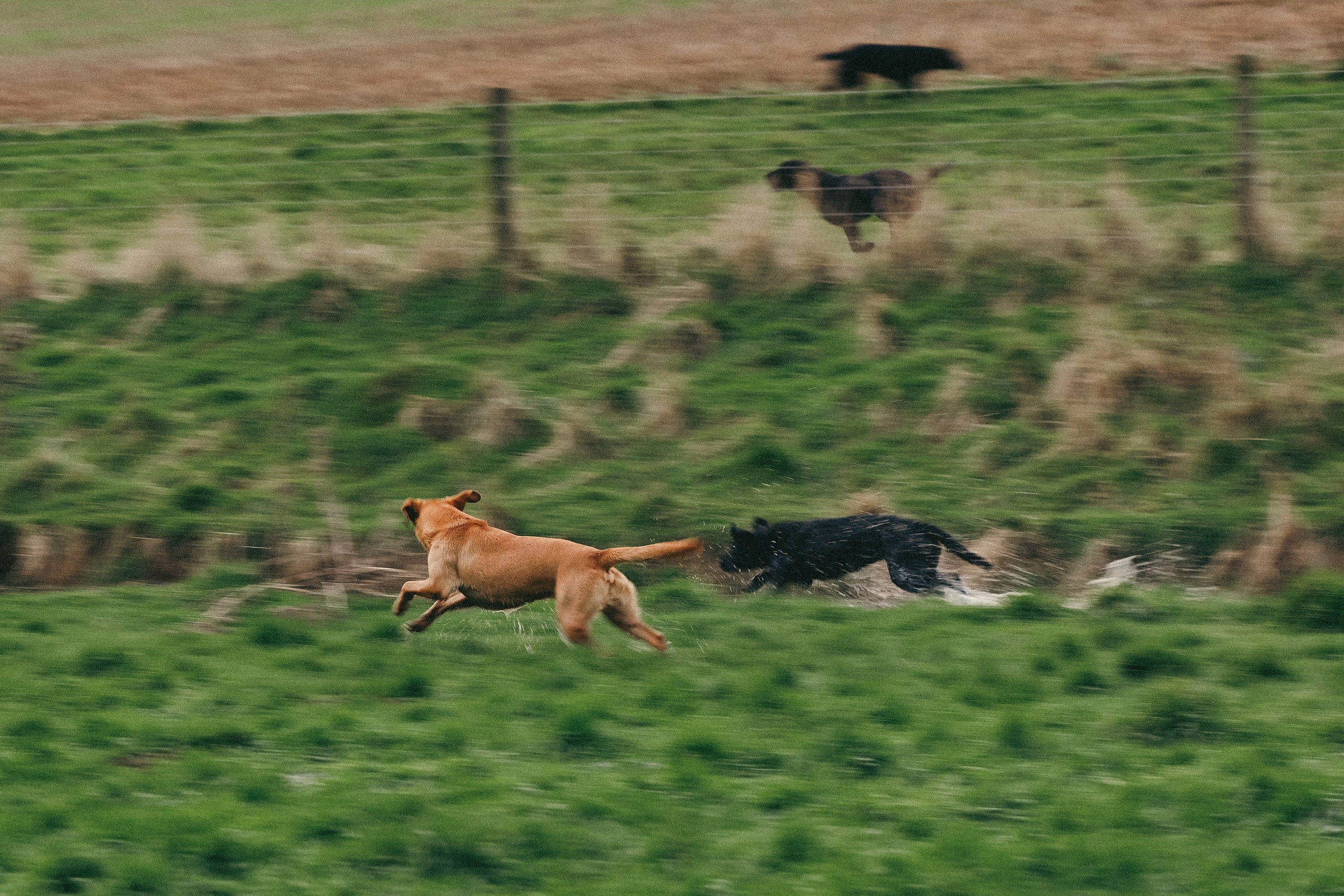 Salperton | Family Photographer in London and Kent