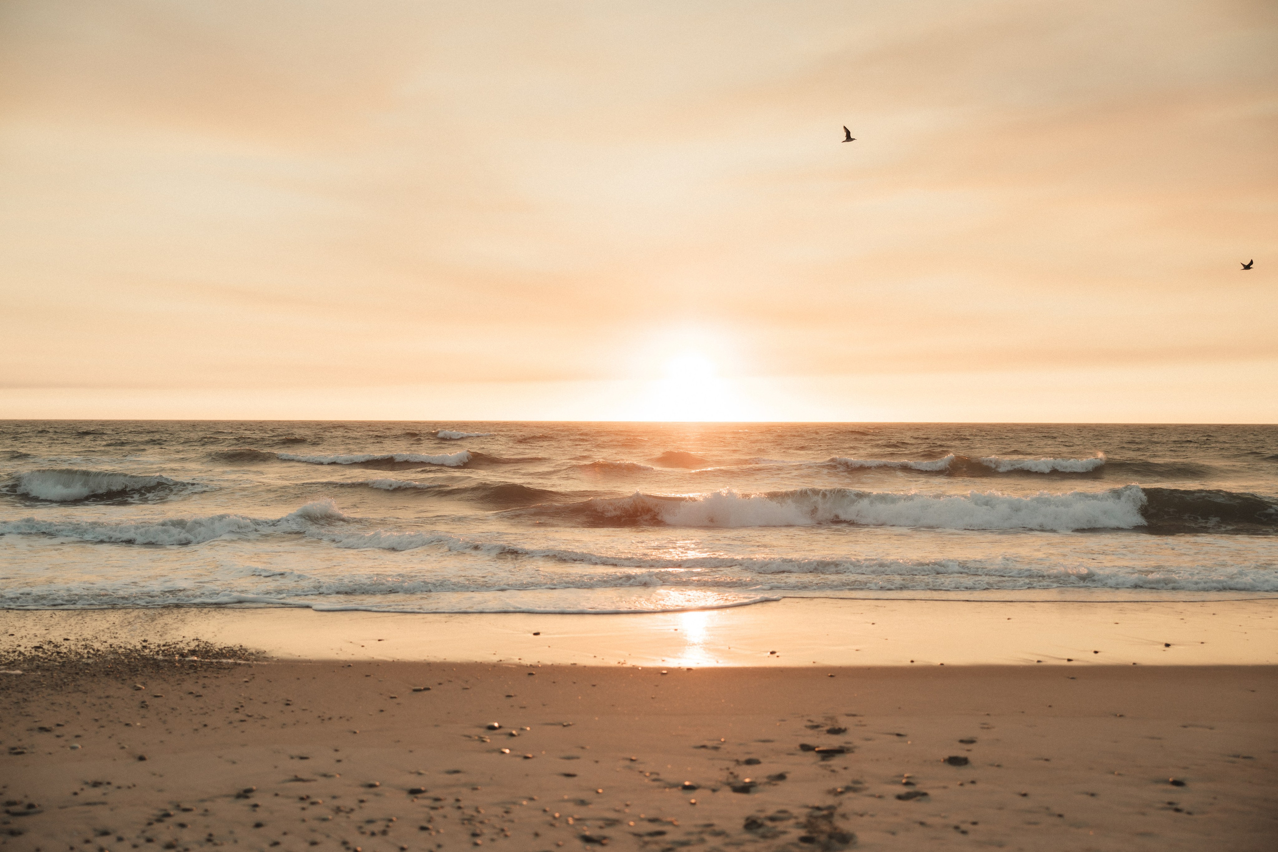 Sara e Fábio. Photographe de mariage et de famille à Braga — Alexandra Mieres Photography