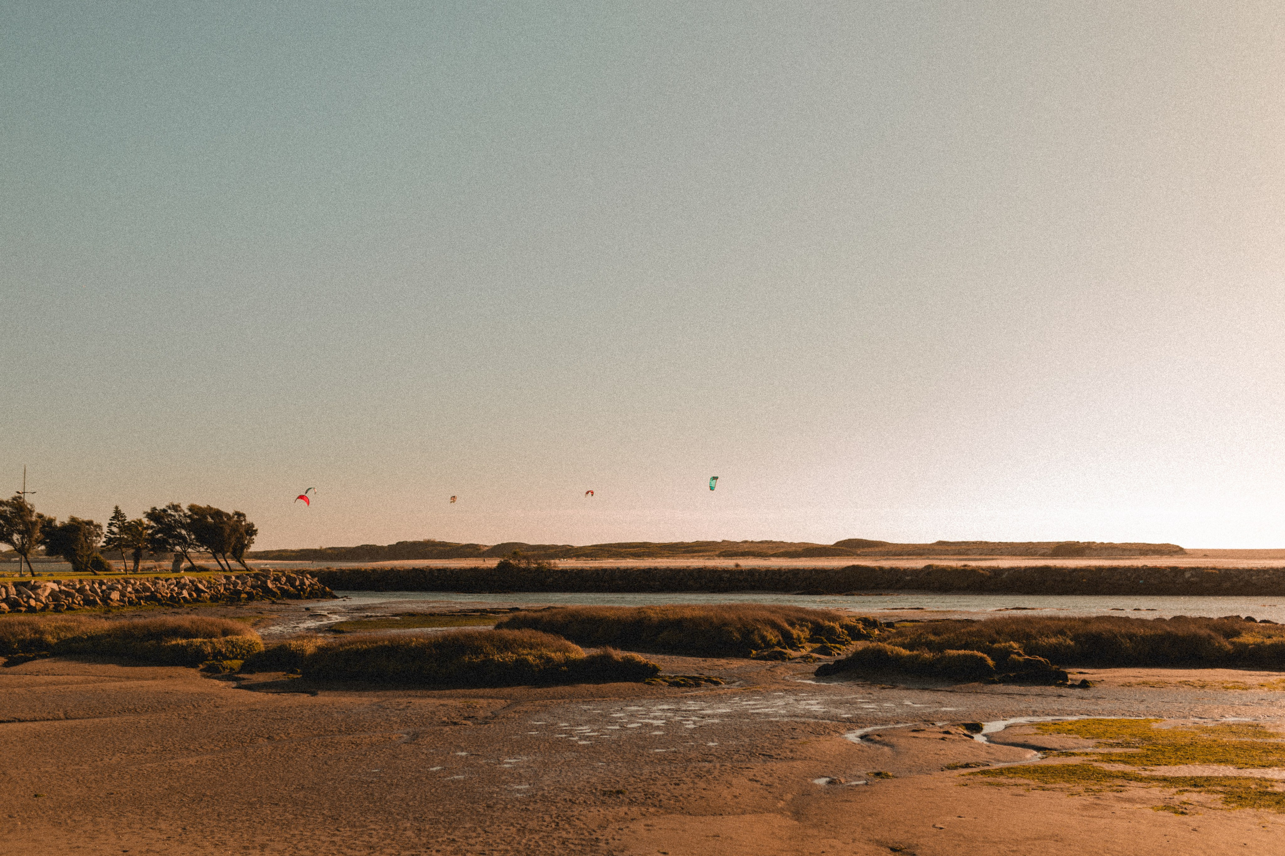 Tânia & Gui. Wedding and Family Photographer in Braga — Alexandra Mieres Fotografia