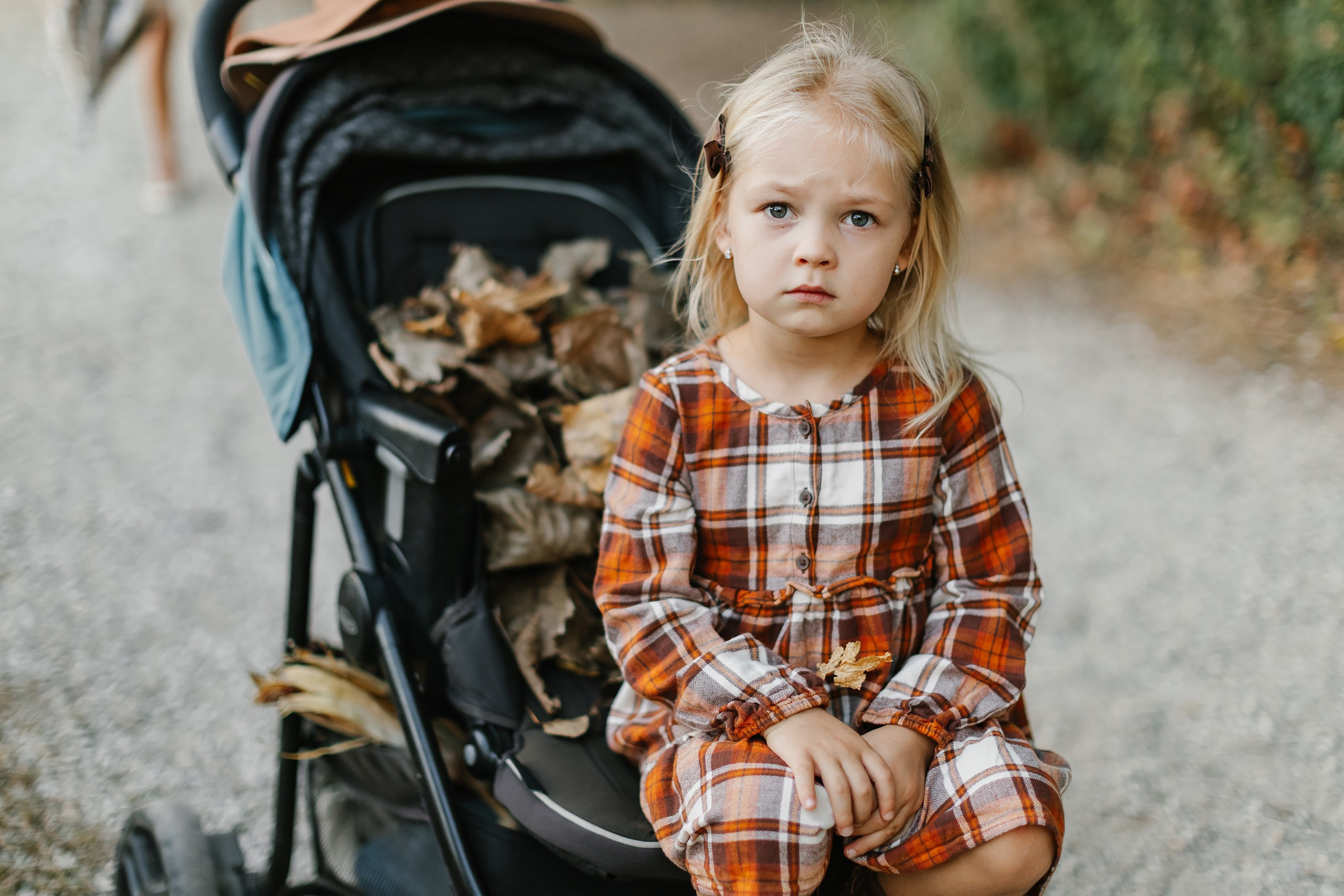 10.05.25 Family Photoshoot. Wedding family event photographer in Chicago Nick Yushevich