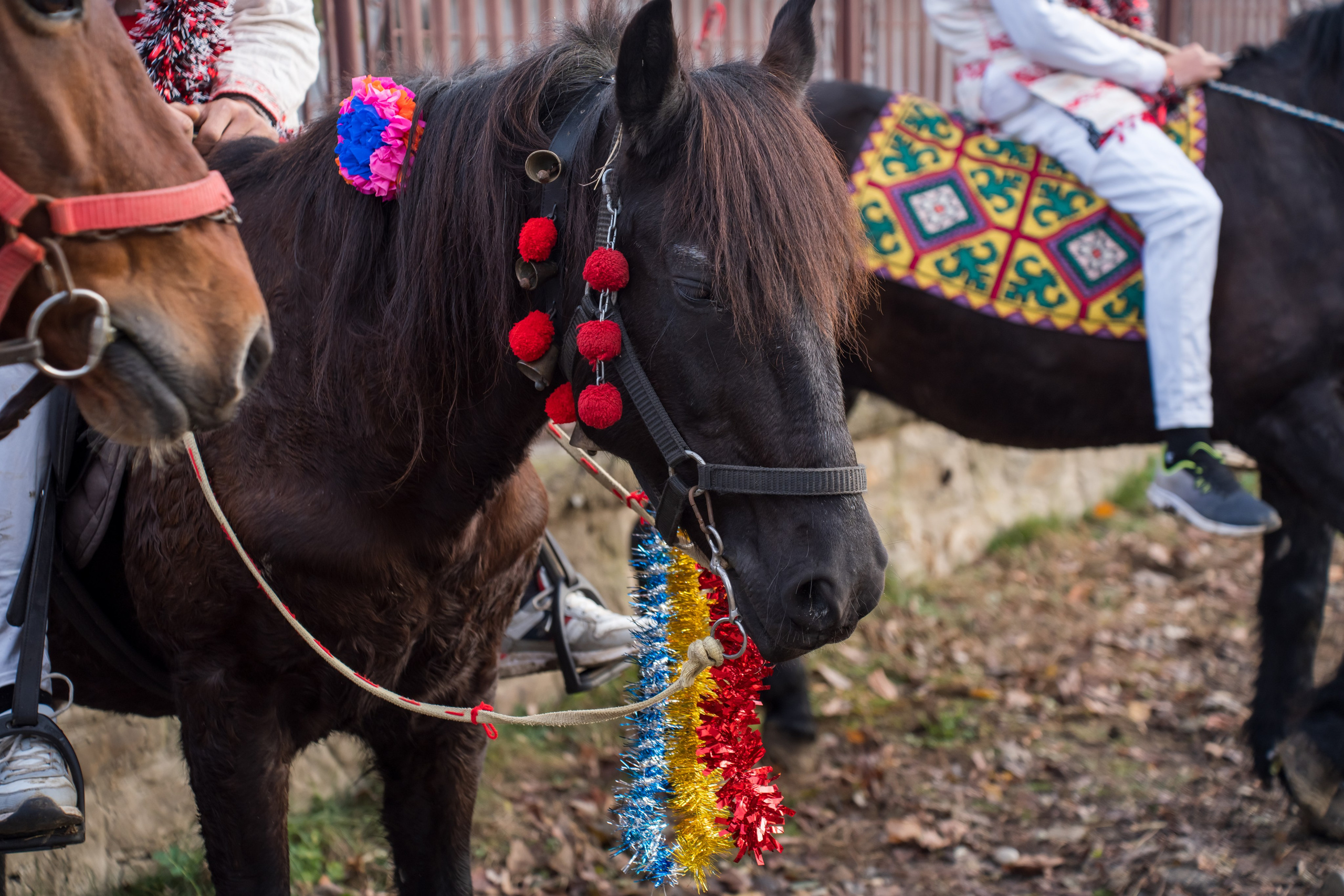 Parada Cailor 1 Decembrie