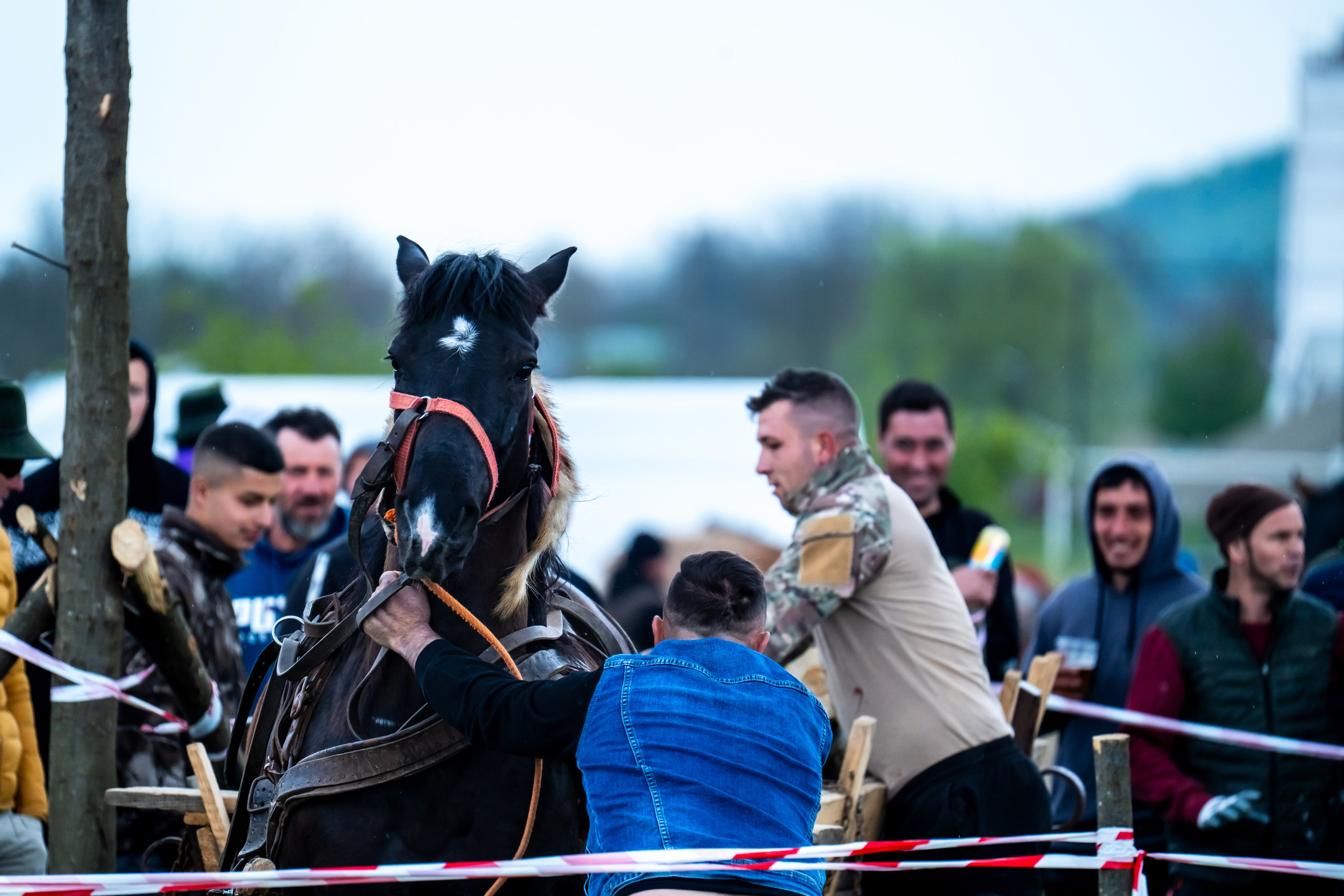 Concurs Ecvestru Vărbilău ediția a 4-a. Mihai Alexandra Events