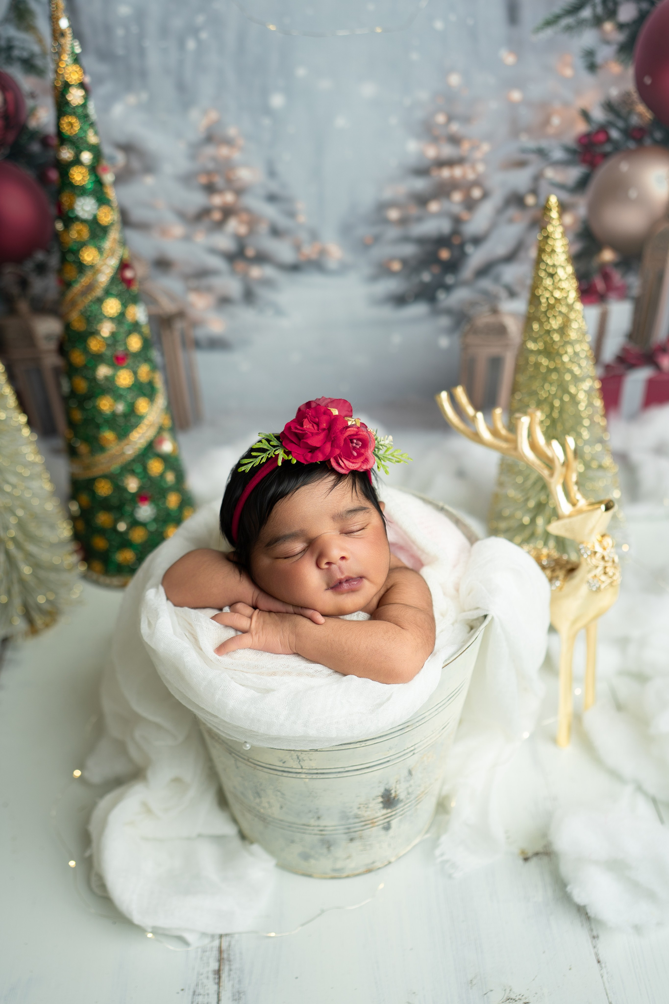 Posed Newborn. Maternity, family and newborn photography in San Francisco Bay Area