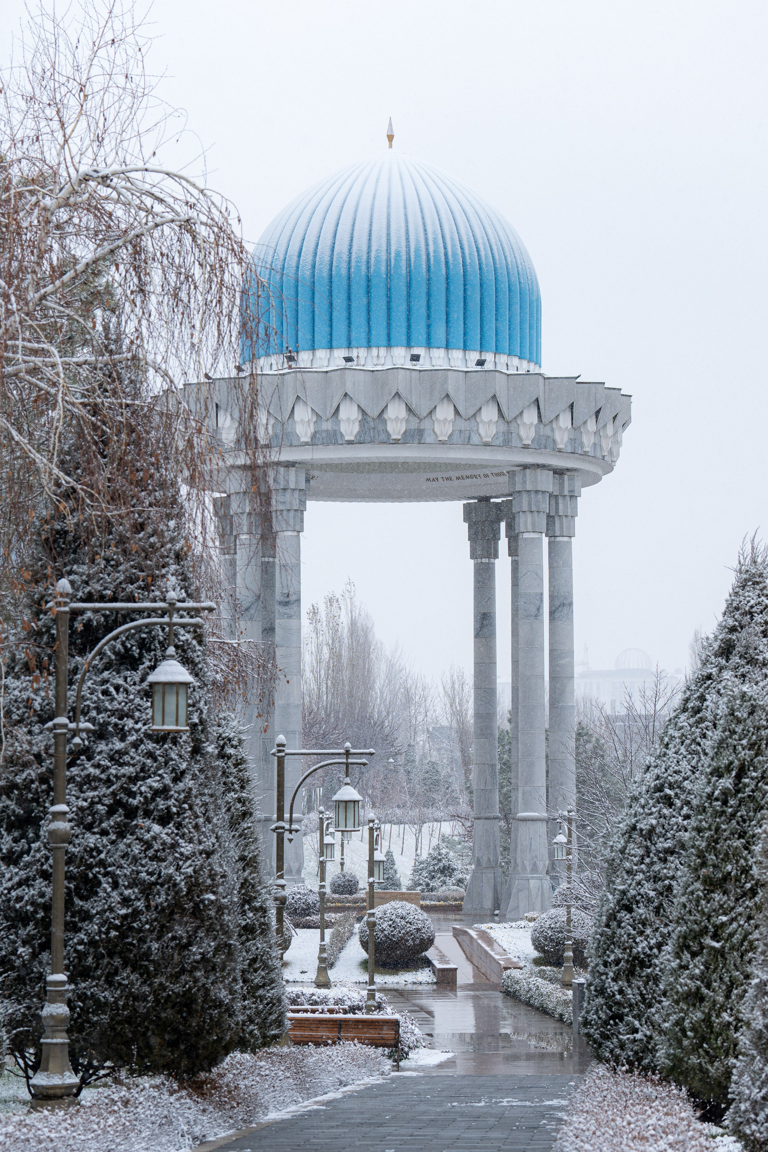 Первый снег в 2024 году. Георгий Намазов | Фотограф в Ташкенте