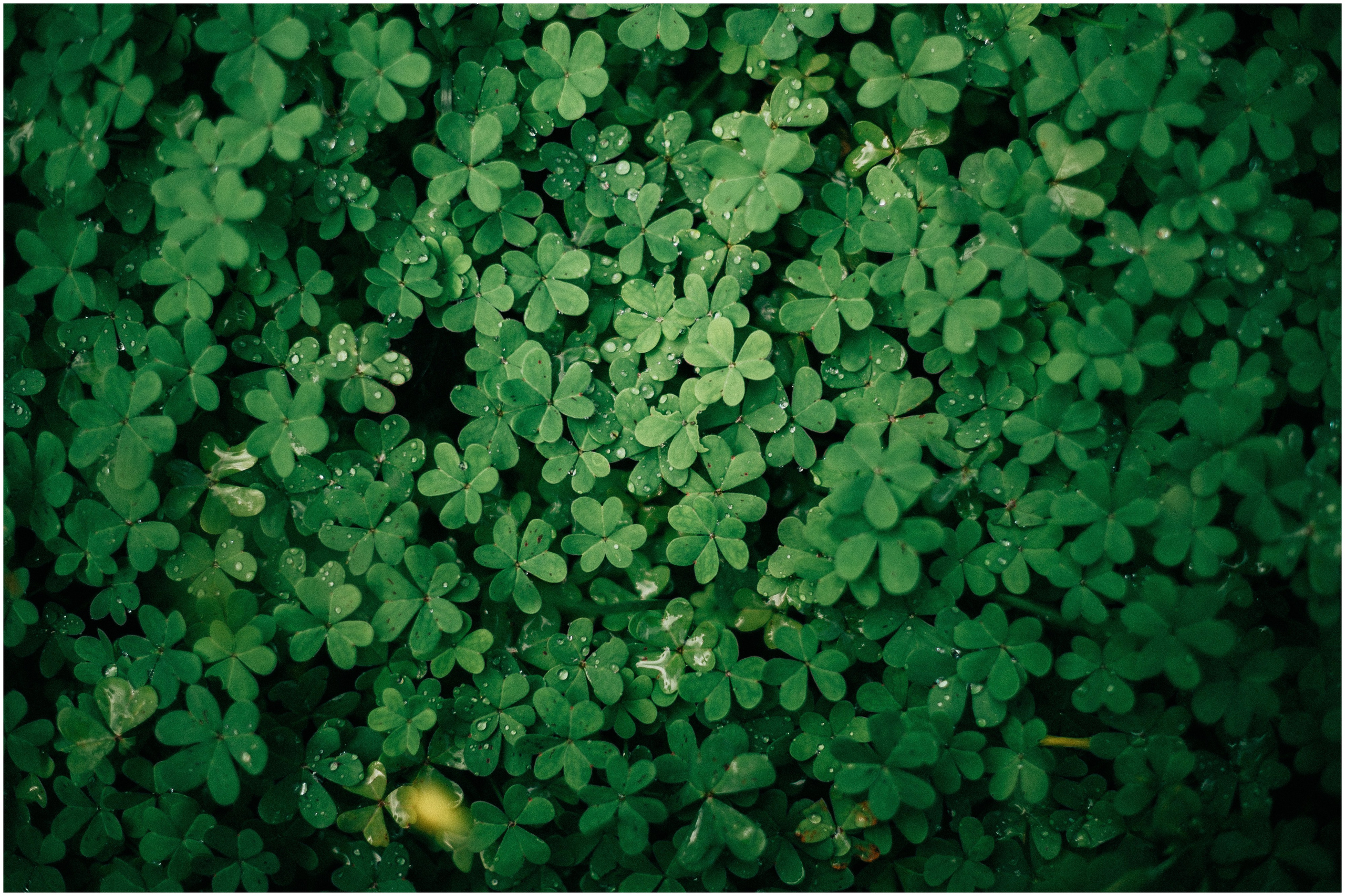 PALERMO. Photographer Inna Mendelson