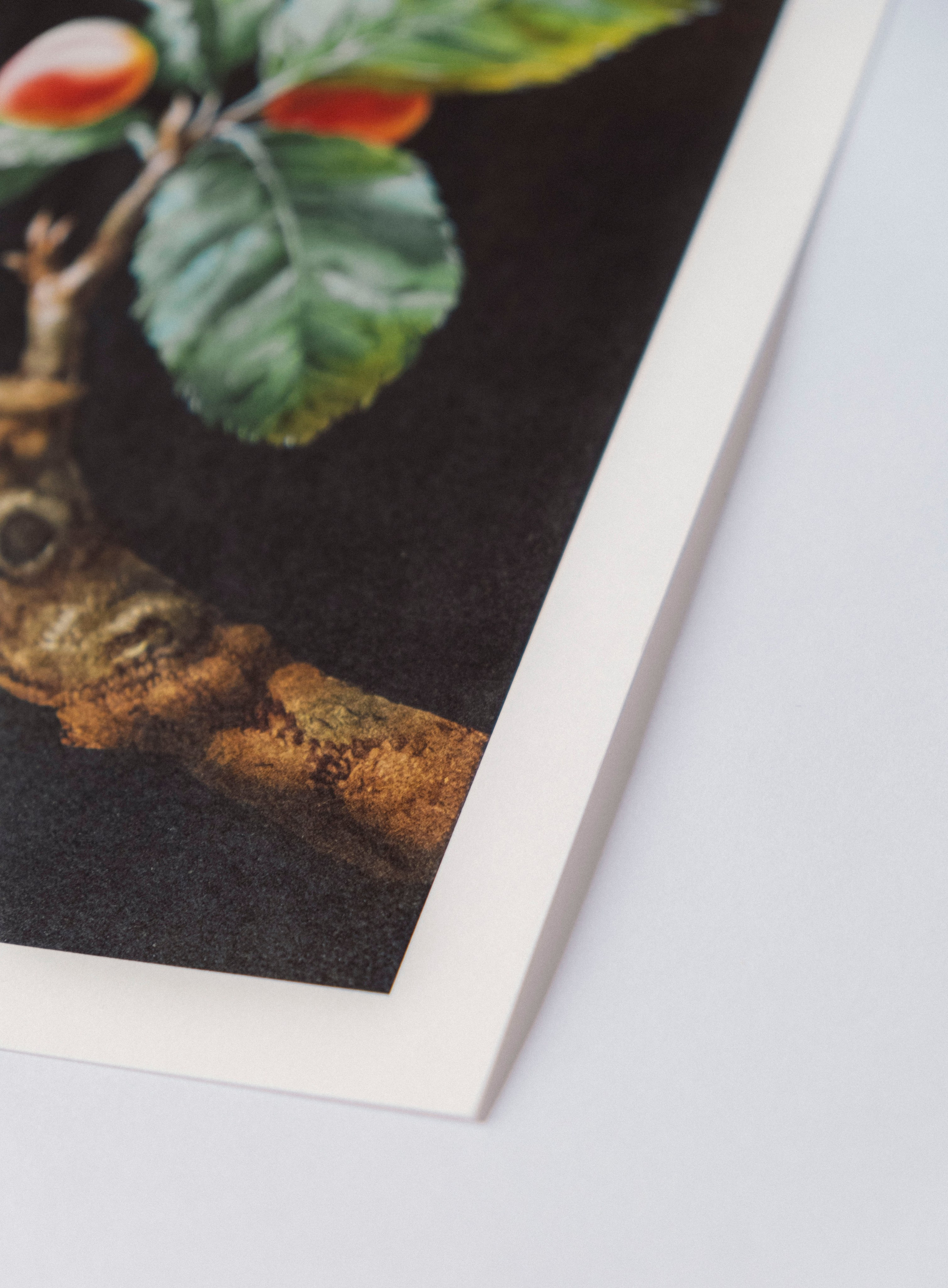 Botanical Etude No. 9. ELEN BEZHEN