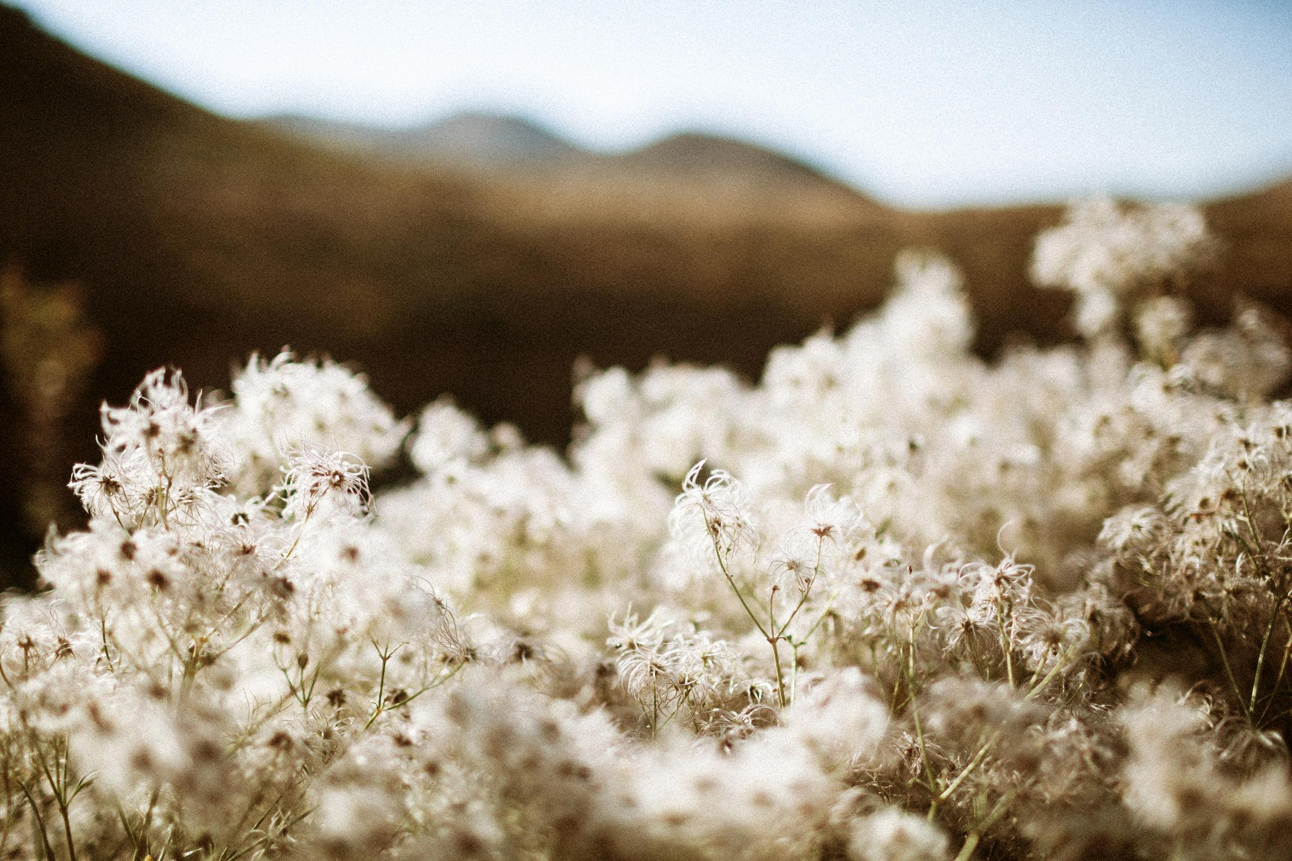 Осеннее путешествие в ущелье Шамси. Фотограф в Бишкеке Оксана Шувалова